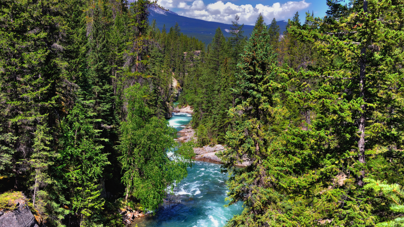 Обои Озеро Яшма, Джаспер, парк, национальный парк, природный заповедник в разрешении 1366x768