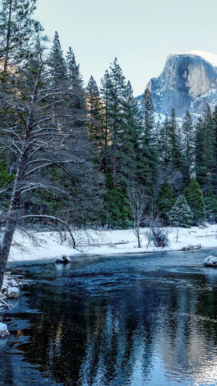 Обои йосемитский национальный парк, лес, зима, парк, снег в разрешении 720x1280