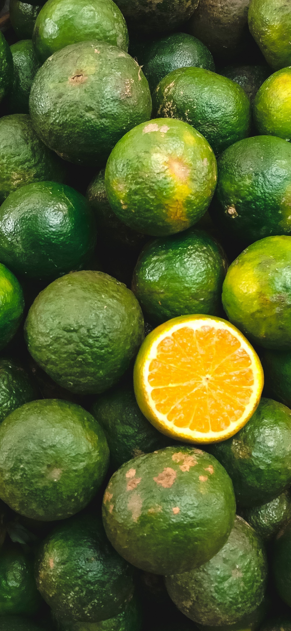 Обои лимон, Апельсин, известь, фрукты, лайм в разрешении 1125x2436