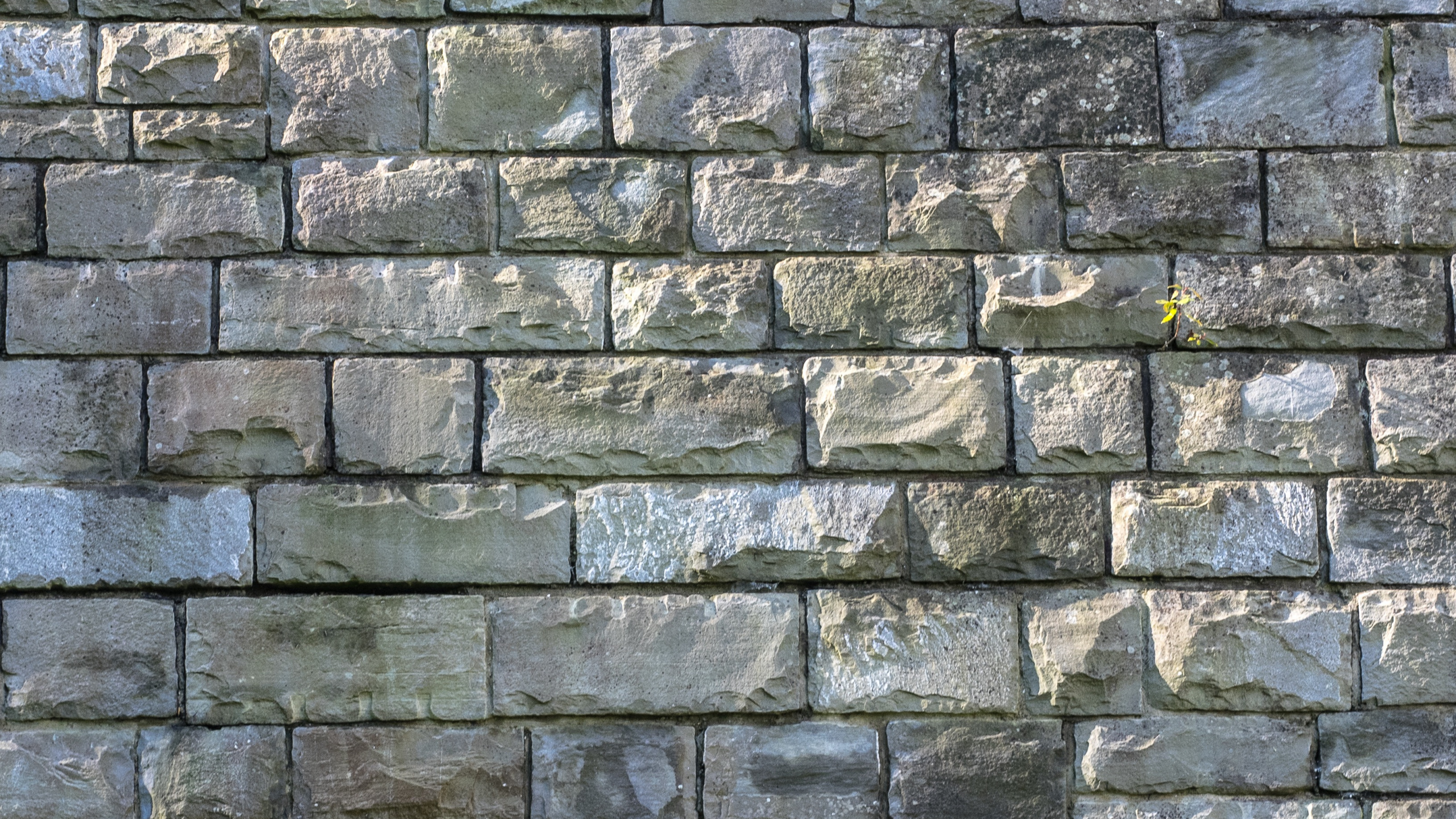 Обои каменная стена, стена, кирпич, кирпичная кладка, рок в разрешении 2560x1440