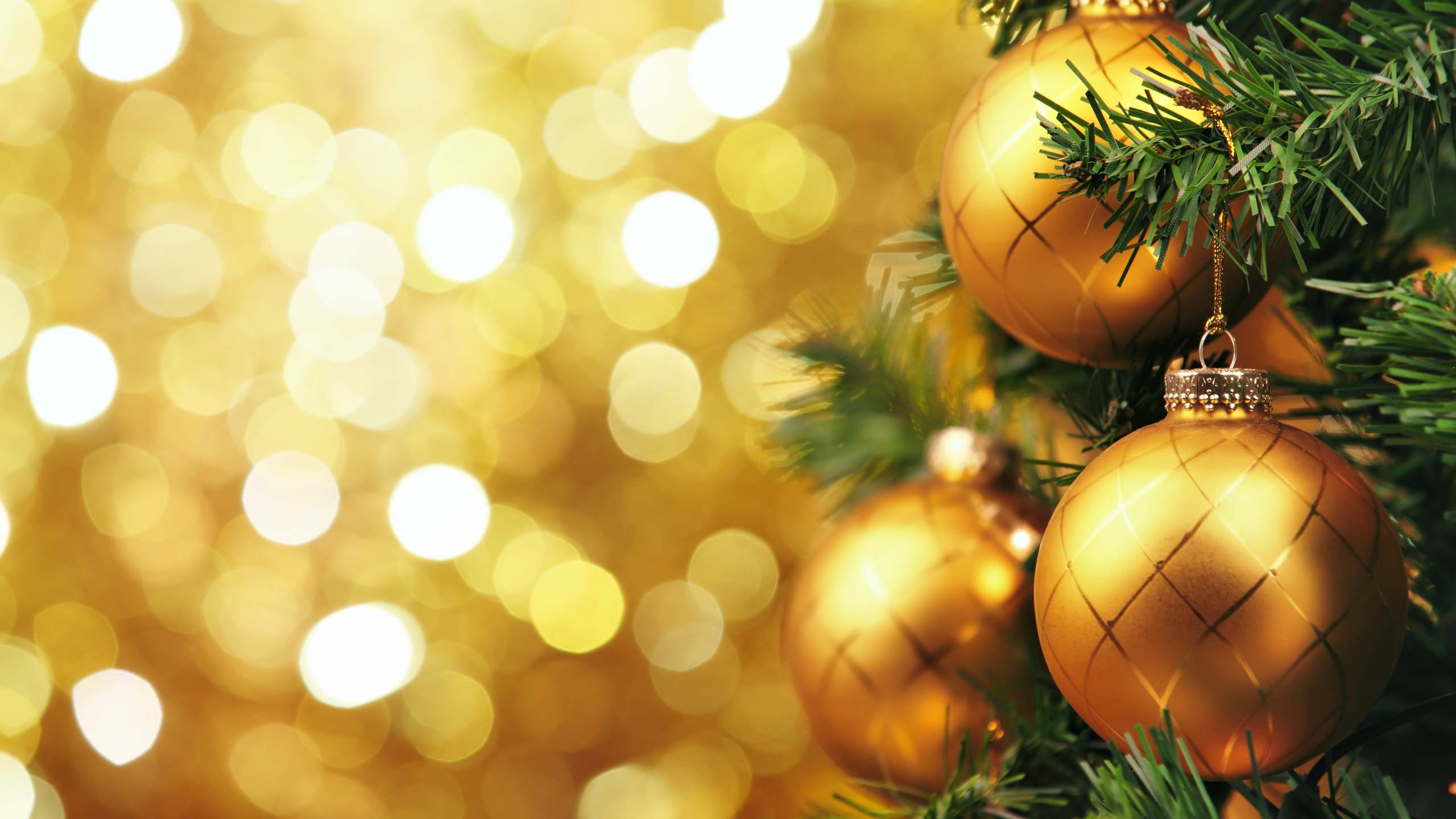 Обои Рождественский день, рождественский орнамент, елка, праздник, Рождественские украшения в разрешении 2560x1440