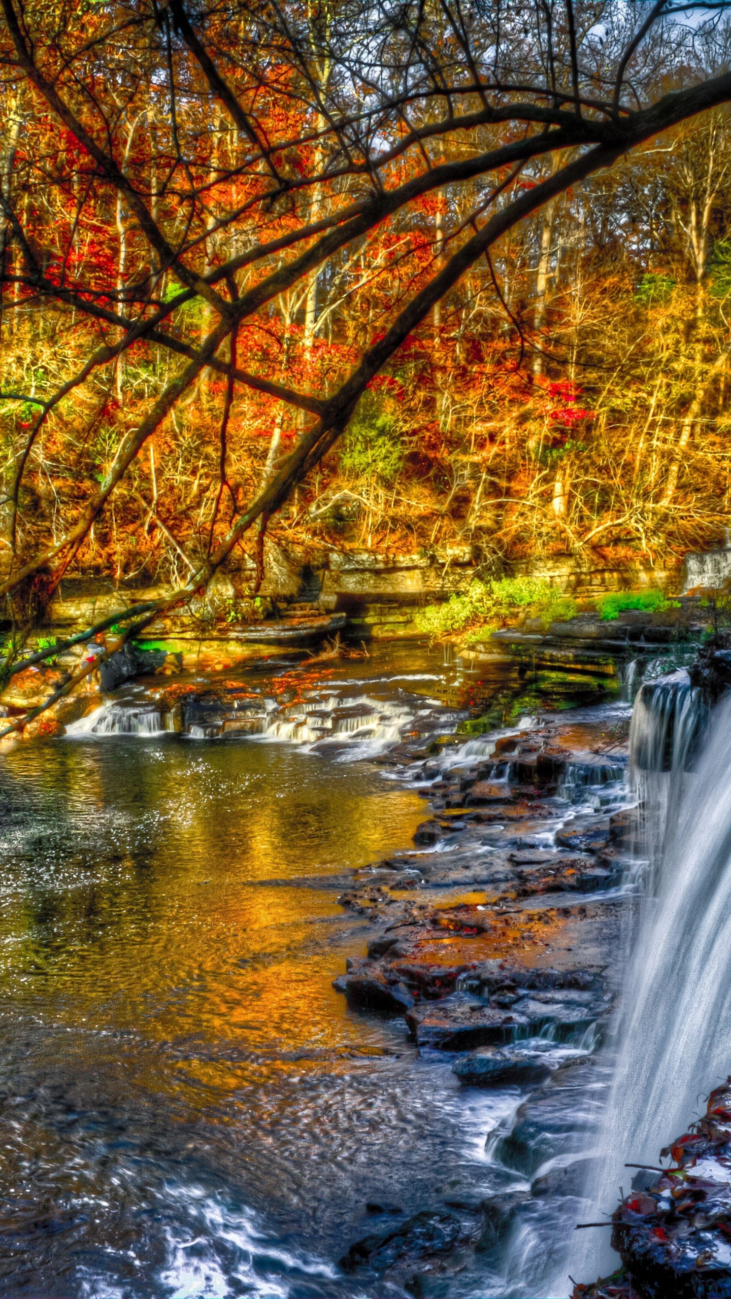 Обои водопад, природа, водоем, поток, вода в разрешении 1440x2560