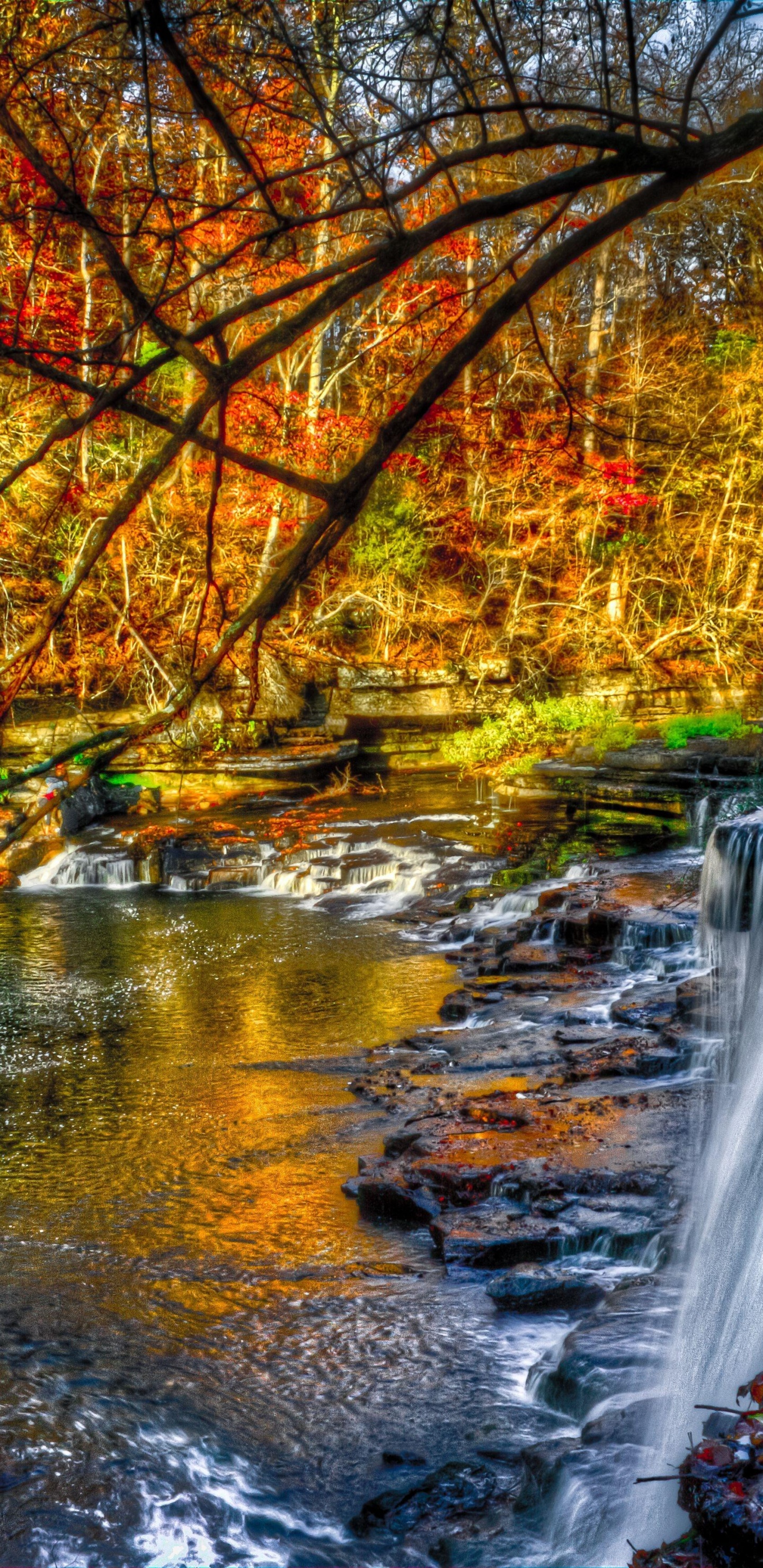 Обои водопад, природа, водоем, поток, вода в разрешении 1440x2960