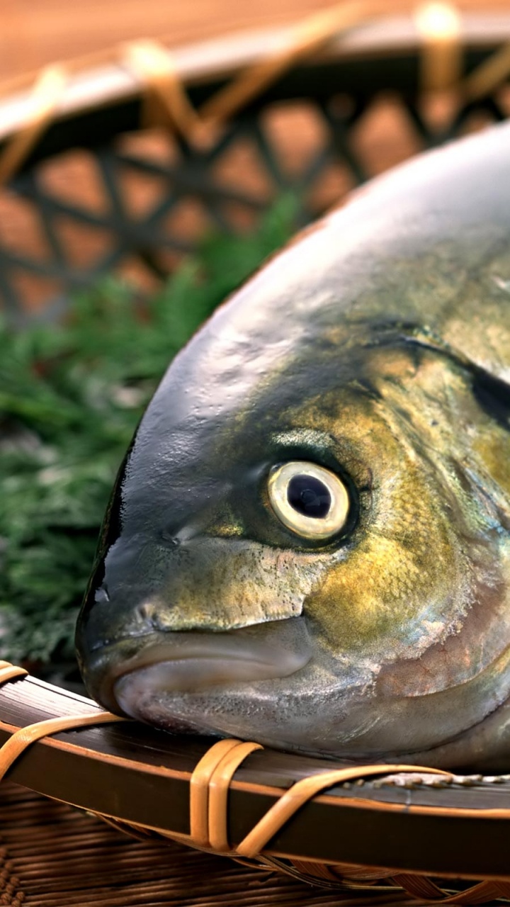 Обои морепродукты, пища, Карп, рыба как еда, рыбы в разрешении 720x1280