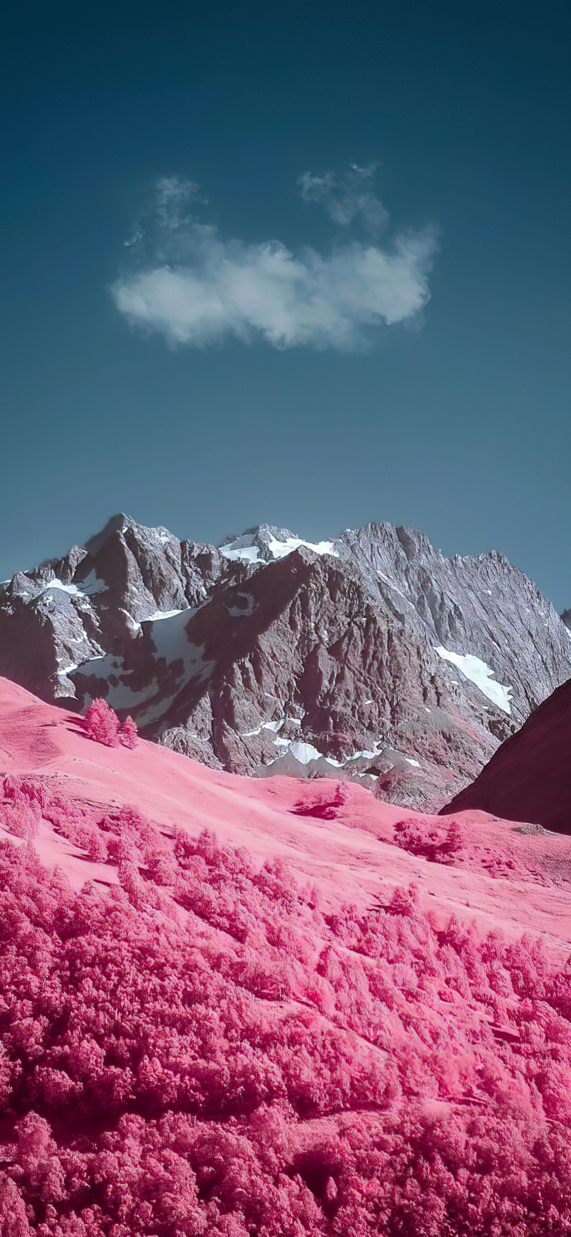 Обои смартфон, андроид, bluetooth, SIM-карта, телефон в разрешении 1125x2436