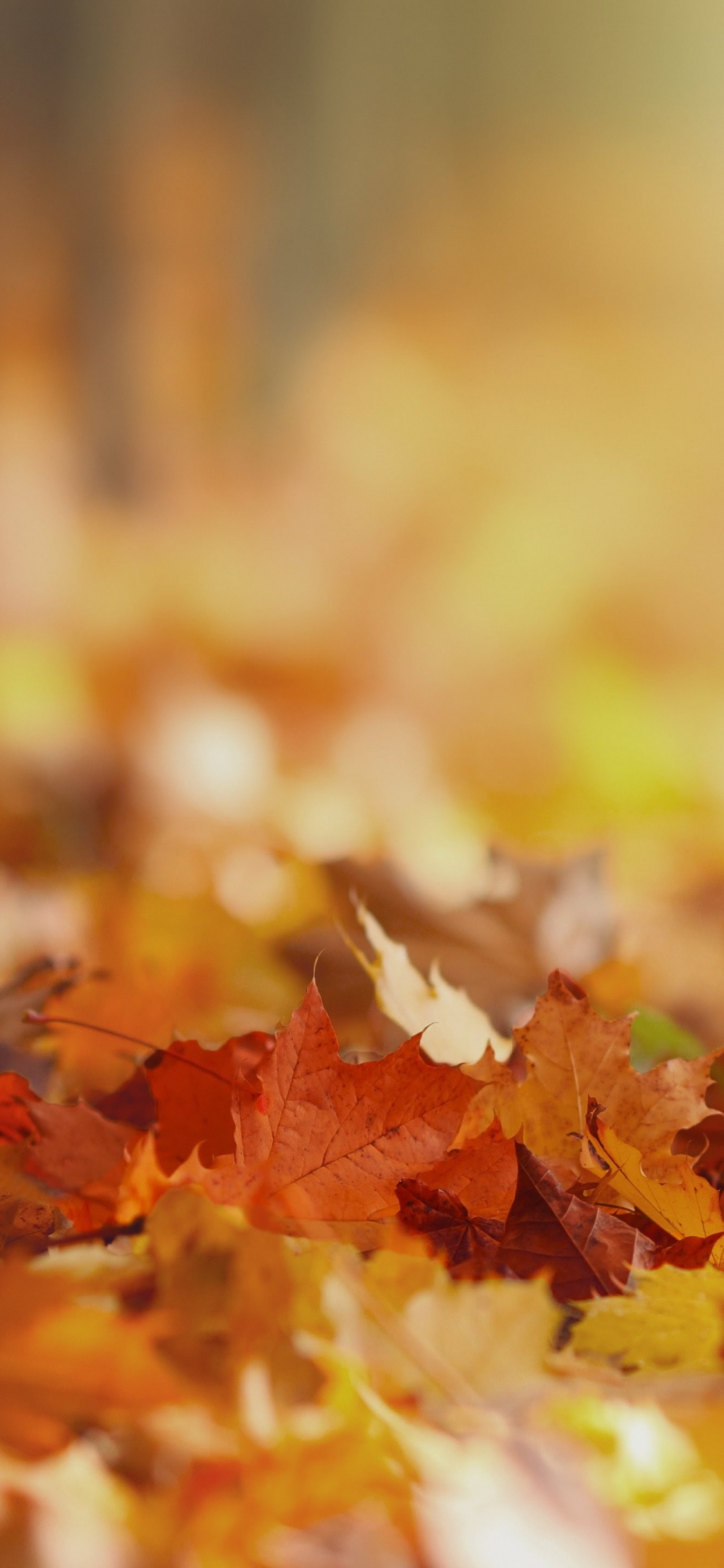 Обои LG, LG V30, рассказы о себе том 2, Стремление К Богу, книга в разрешении 1125x2436