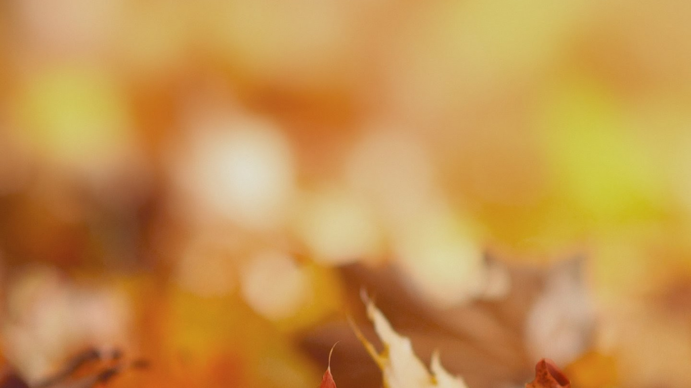 Обои LG, LG V30, рассказы о себе том 2, Стремление К Богу, книга в разрешении 1366x768