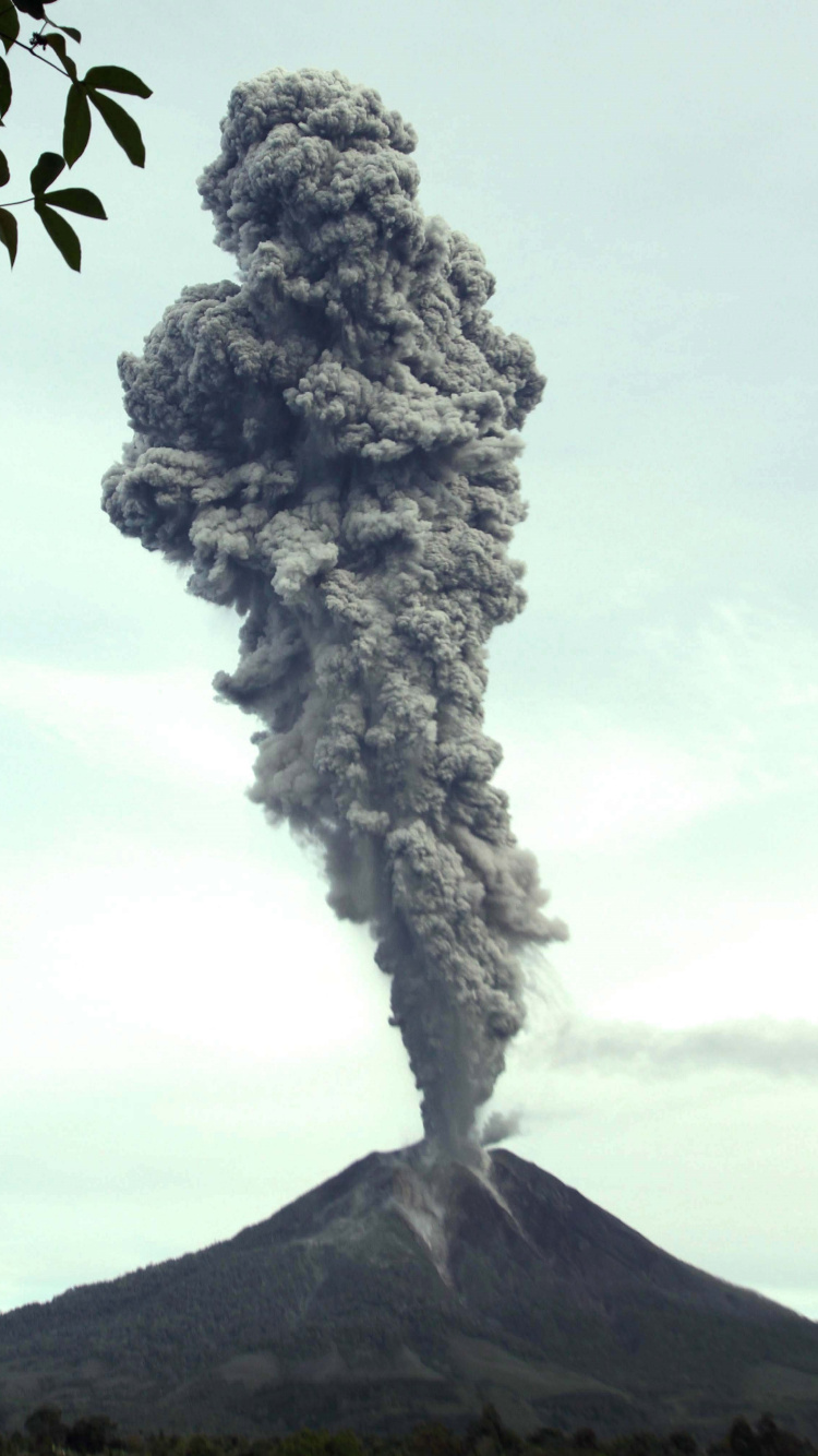 Обои дерево, Синабунг, вулкан, вулканический пепел, дым в разрешении 750x1334