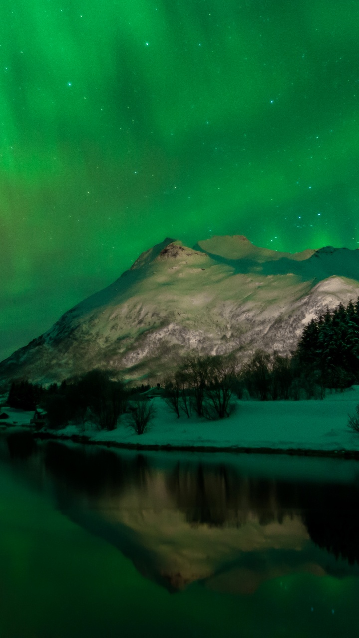 Обои Аврора, ночь, природа, зеленый, природный ландшафт в разрешении 720x1280