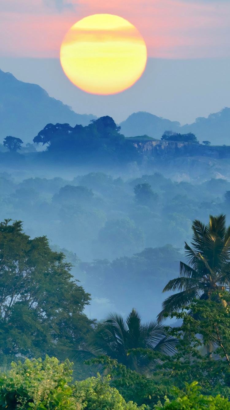 Обои Канди, природа, растительность, утро, горная станция в разрешении 750x1334