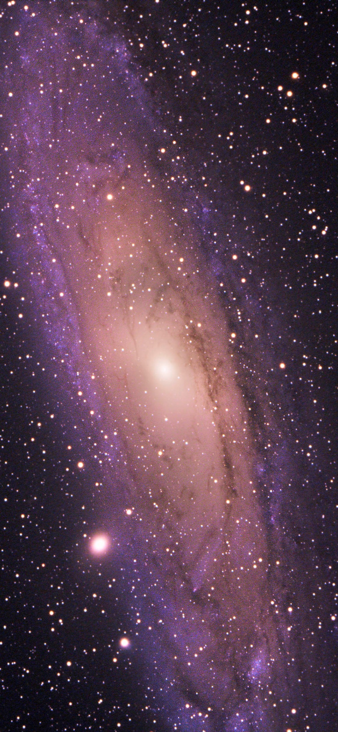 Обои южное небо млечный путь, Млечный Путь, Астрономия, земля, туманность в разрешении 1125x2436