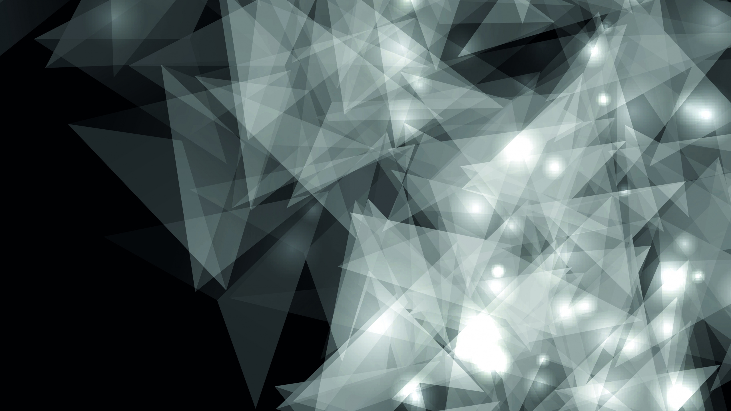 Обои черный, монохромный, узор, линия, дизайн в разрешении 2560x1440