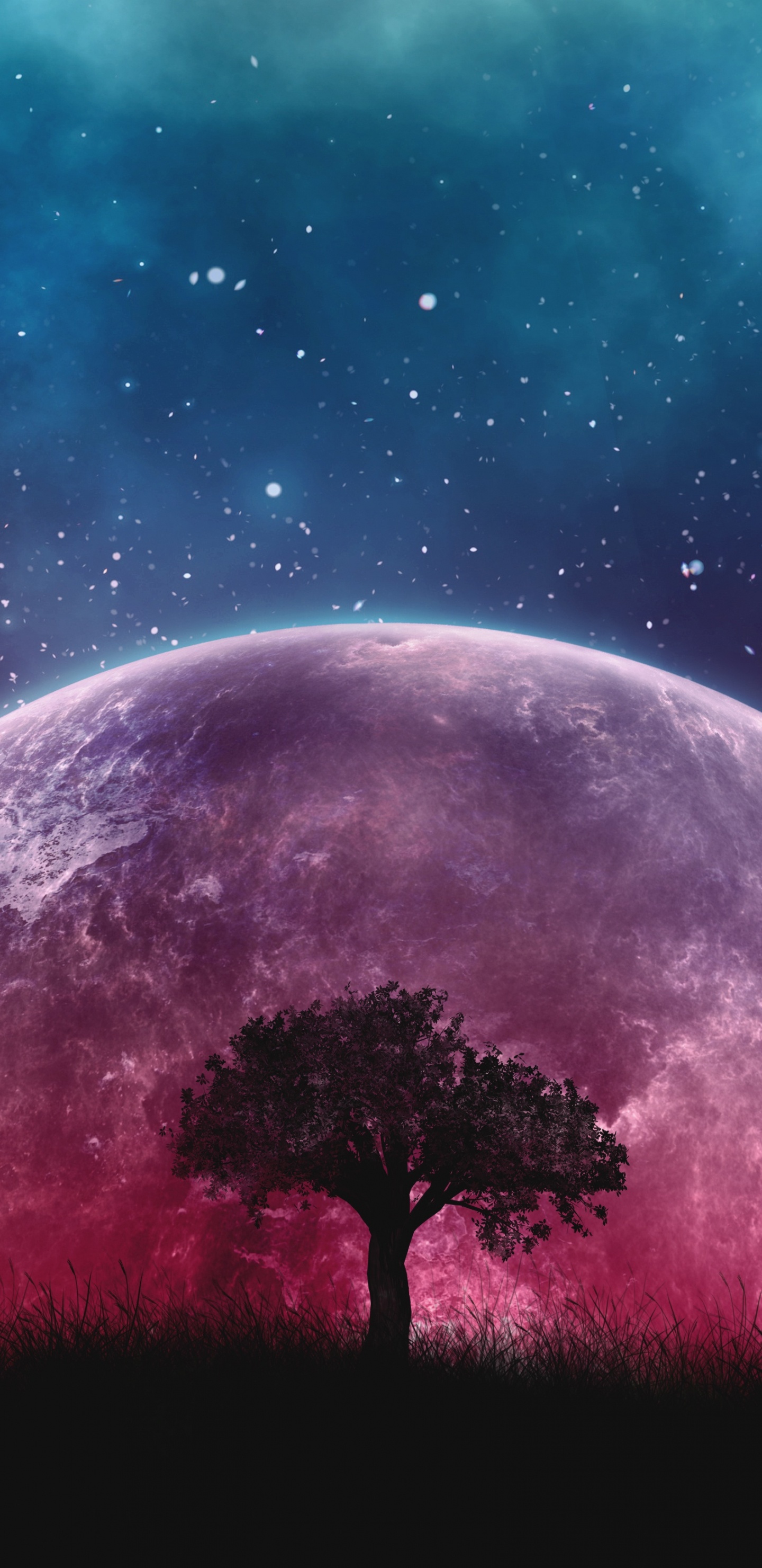 Обои Галактика, природа, атмосфера, небесное явление, свет в разрешении 1440x2960