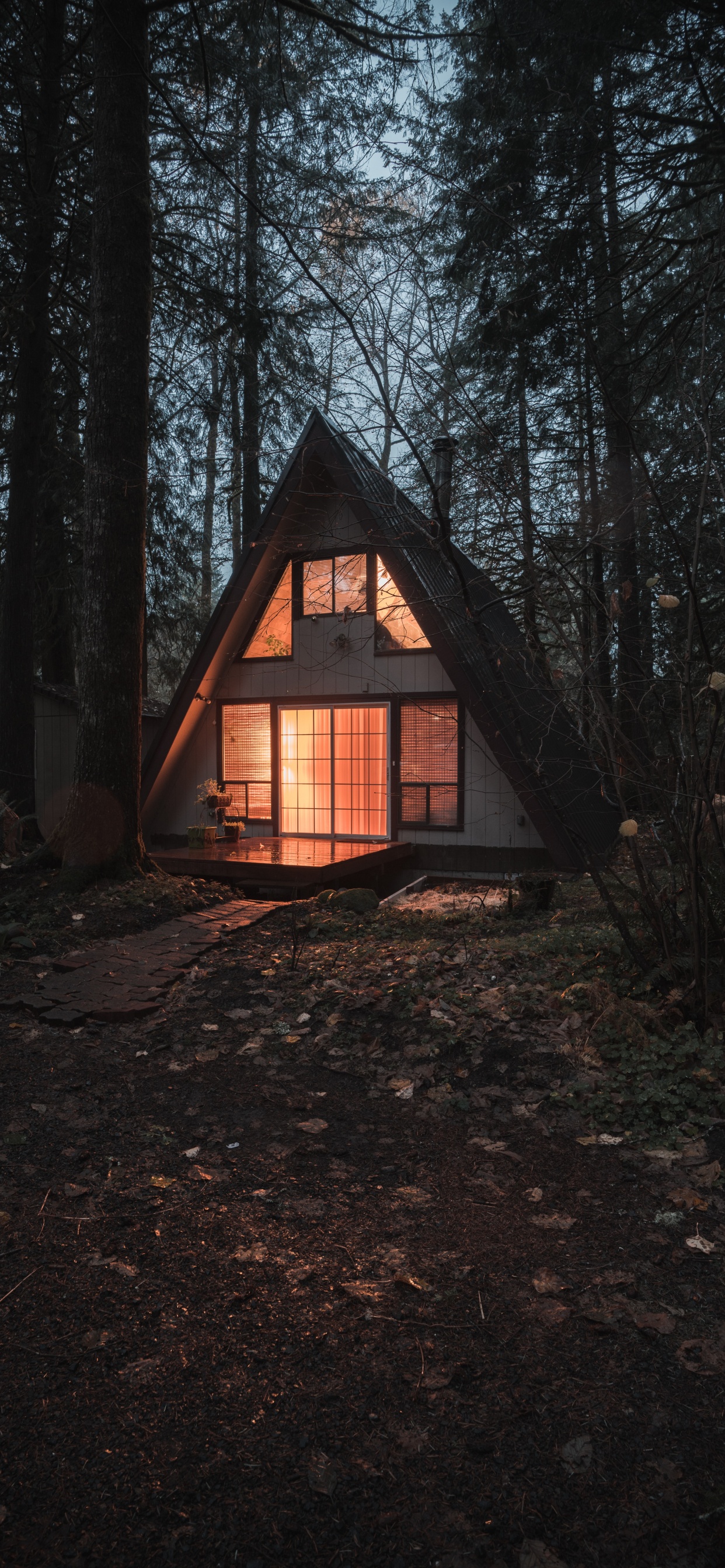 Обои Хаус, здание, дерево, родина, коттедж в разрешении 1242x2688