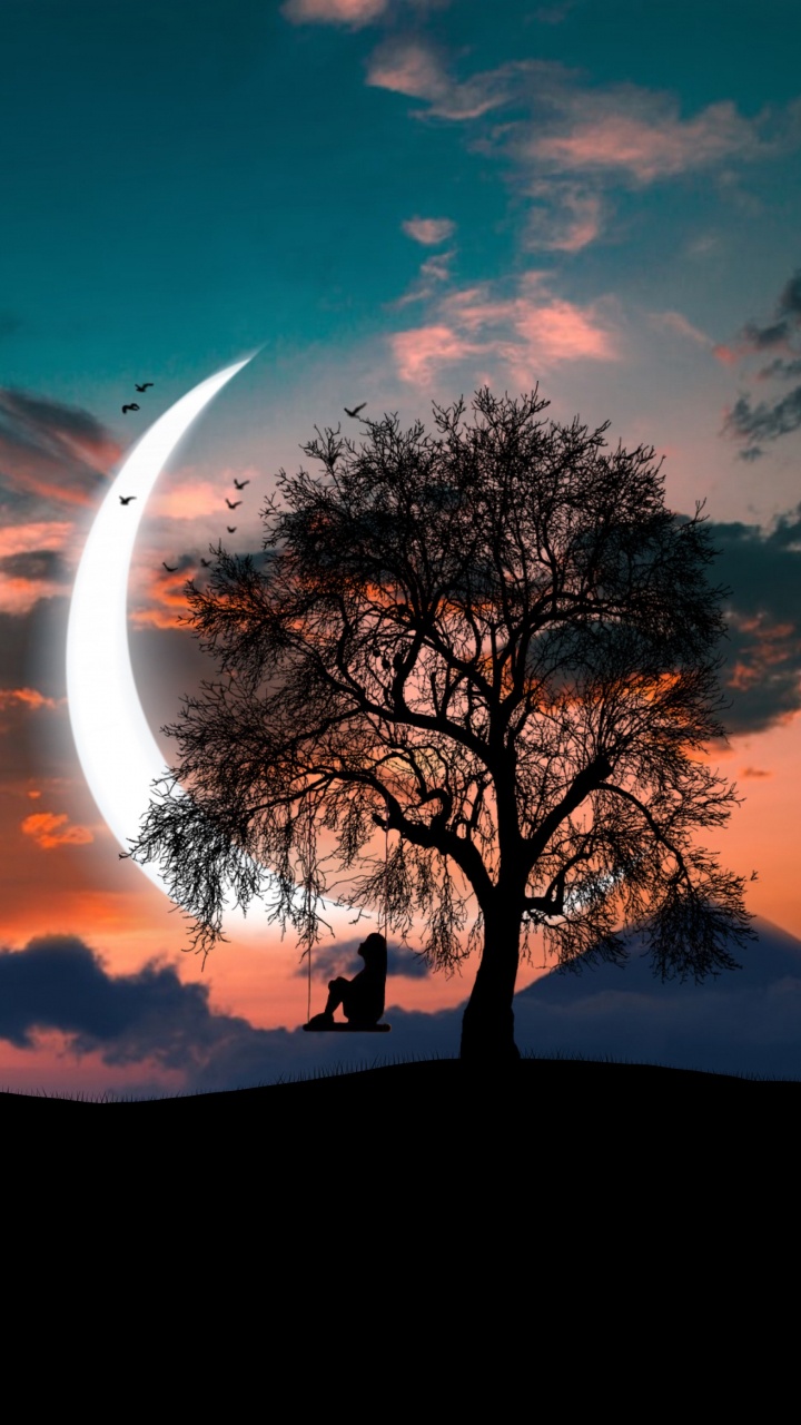 Обои закат, облако, цветной, золотой час, горизонт в разрешении 720x1280