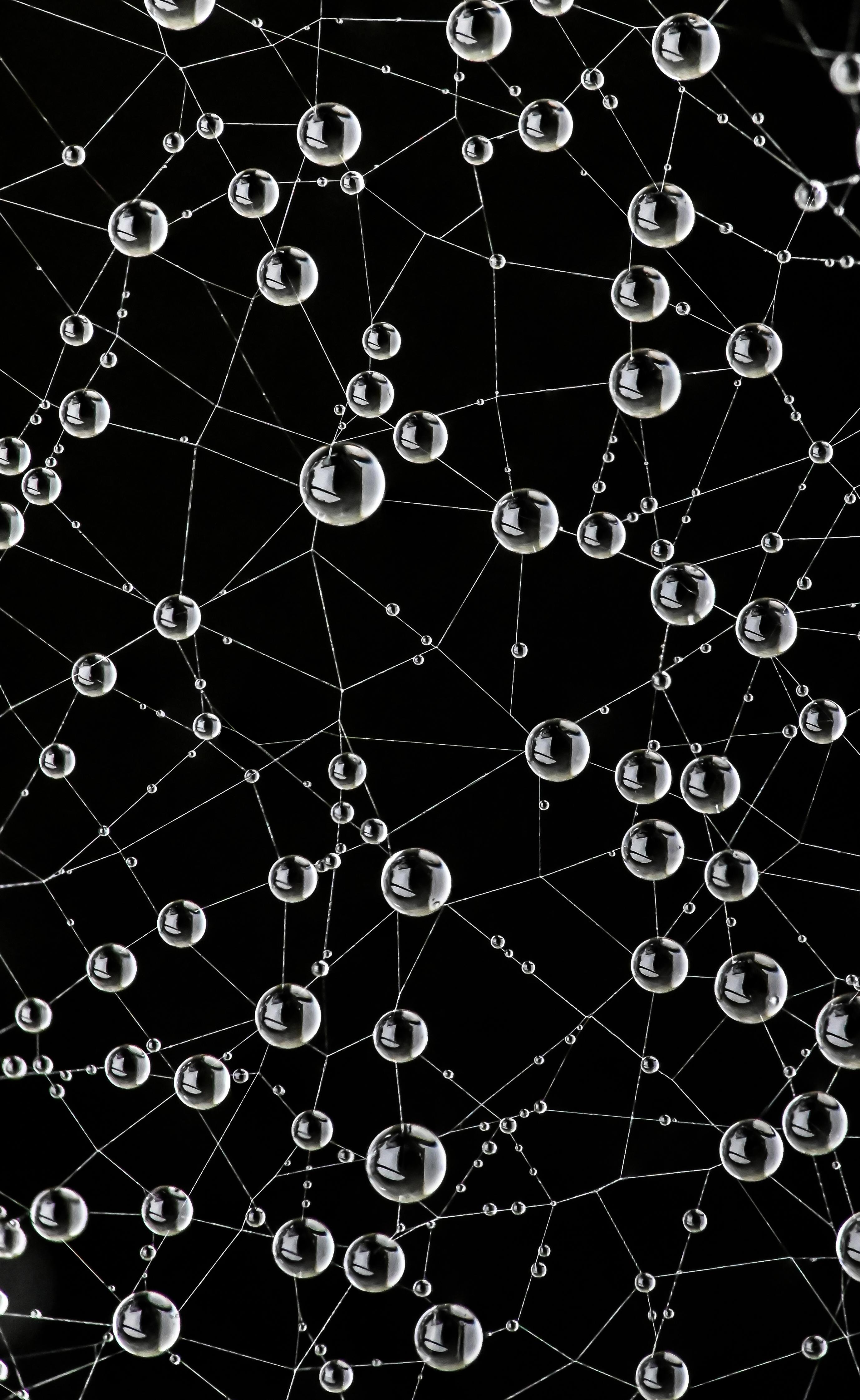 Обои Шары Паутинка Купить