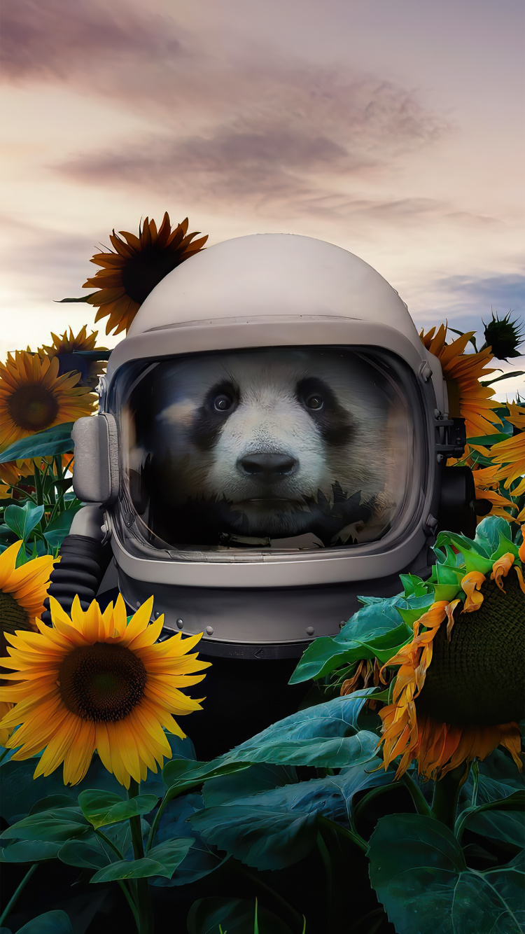 Обои гигантская панда, цветок, облако, датский дог, желтый в разрешении 750x1334