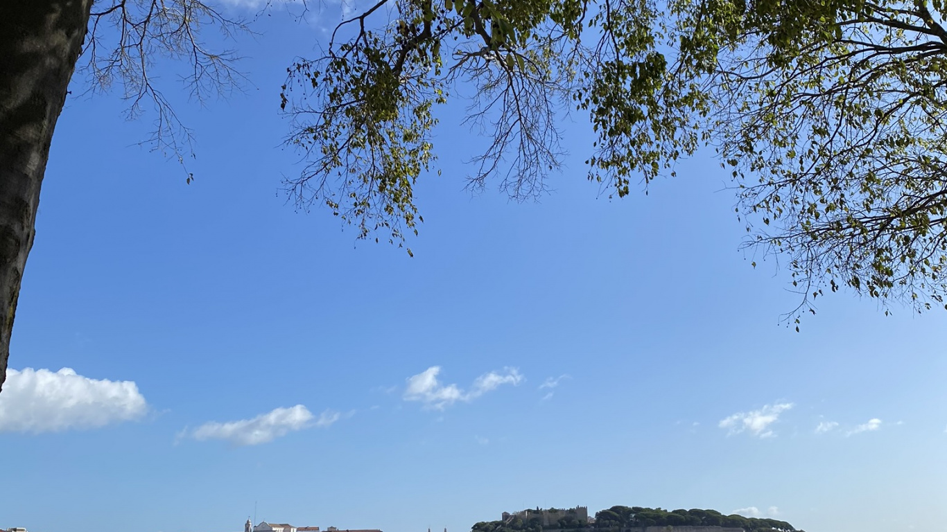 Обои дерево, Король, вода, туризм, лист в разрешении 1366x768