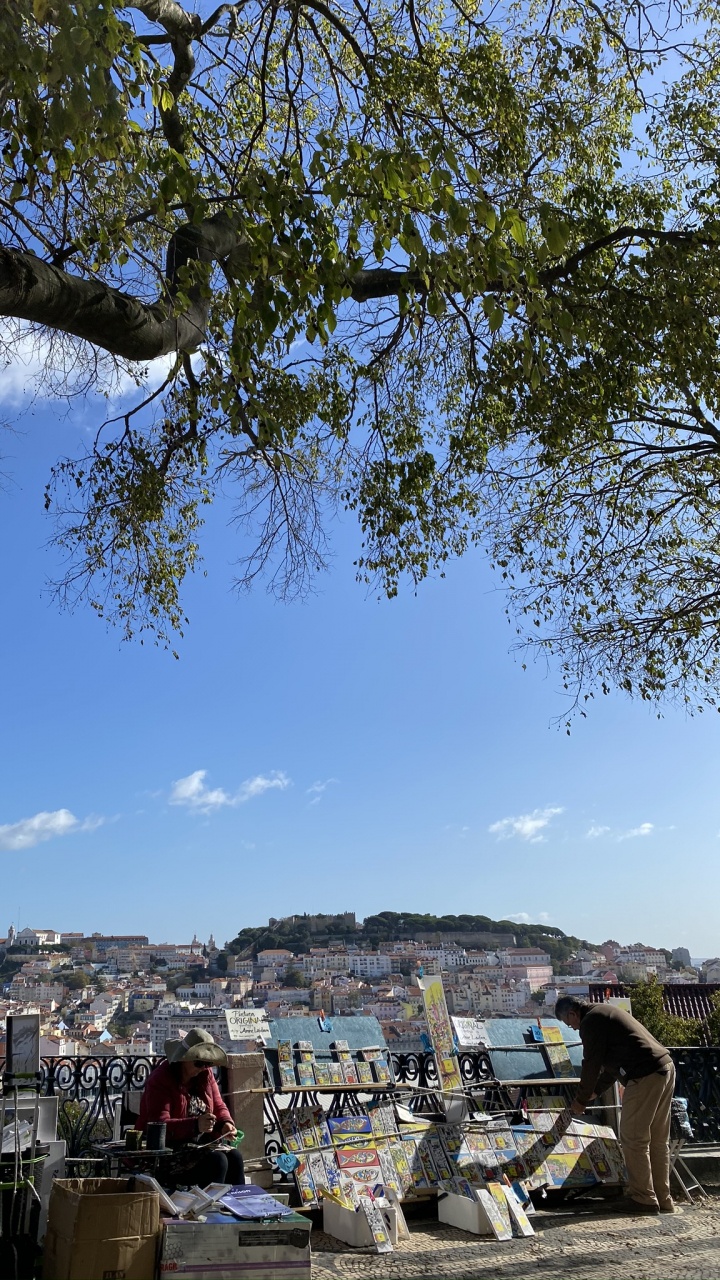 Обои дерево, Король, вода, туризм, лист в разрешении 720x1280