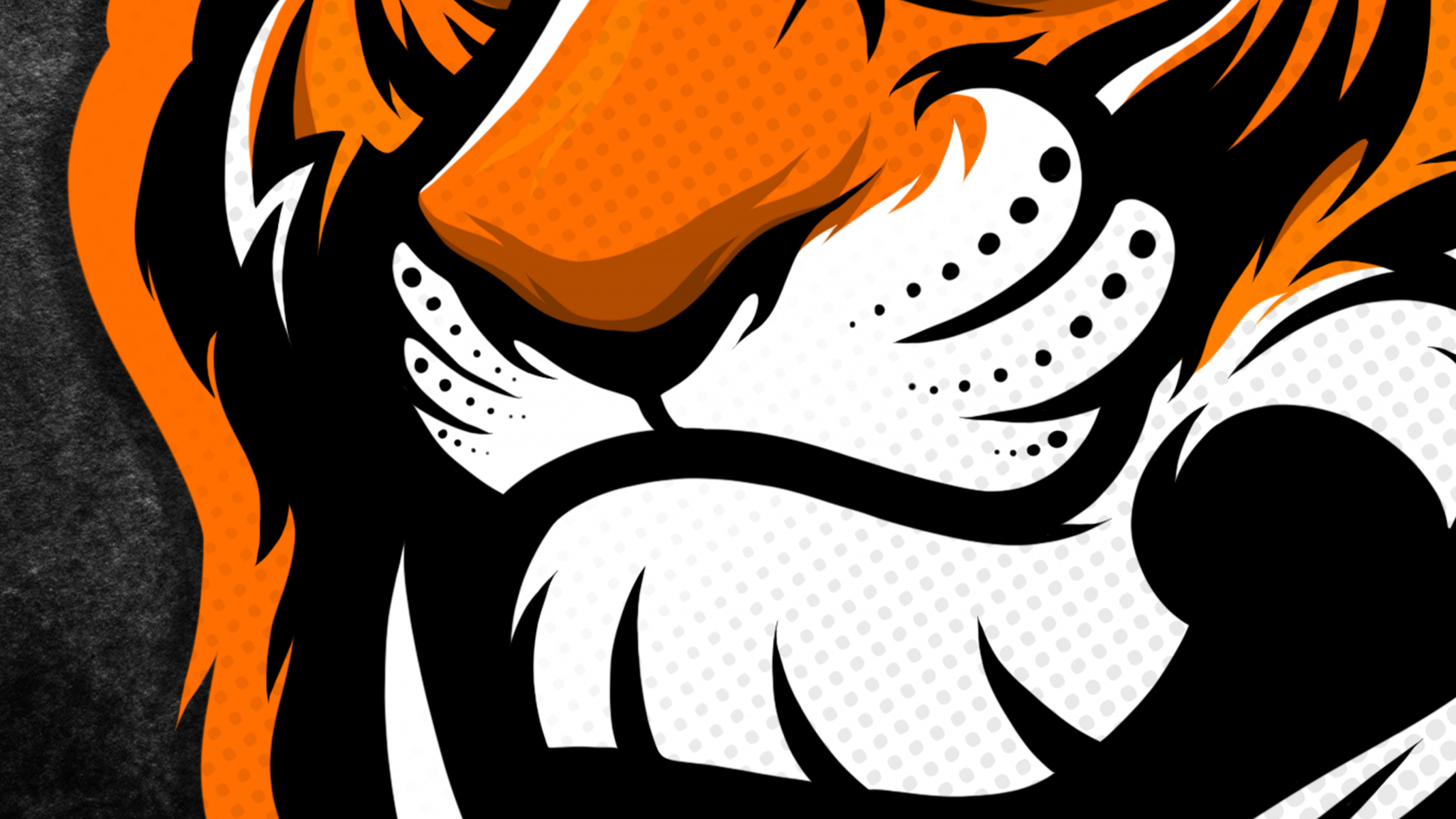 Обои тигр, искусство логотипа тигра, лого, иллюстрация, арт в разрешении 2560x1440