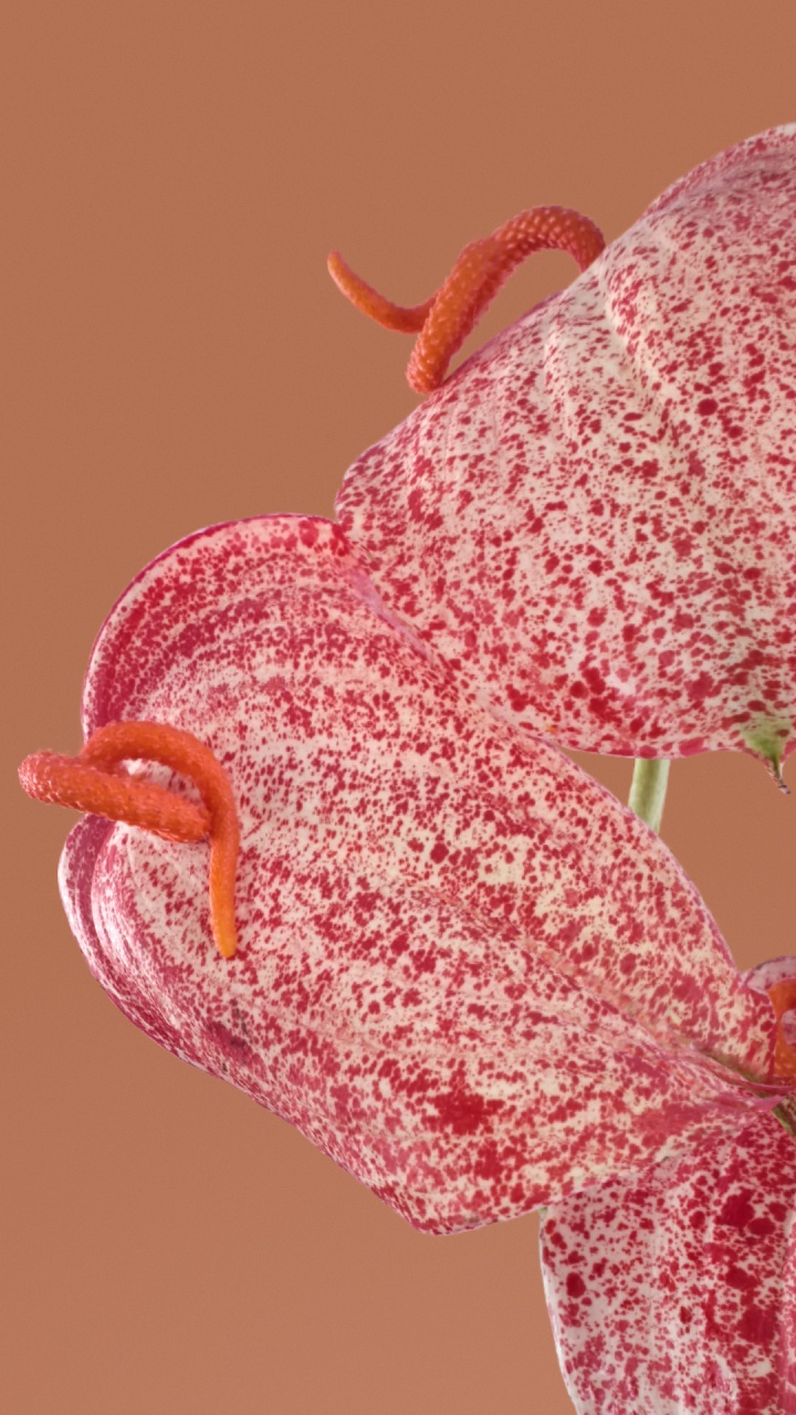 Обои насекомое, гугл пиксель 7 про, смартфон, андроид, Google в разрешении 720x1280