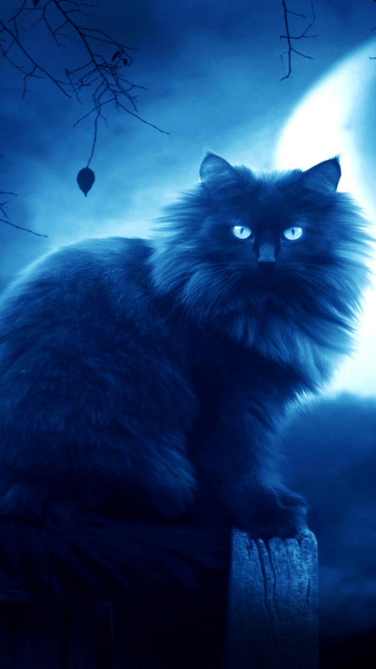 Обои синий, морда, тьма, черная кошка, воинство в разрешении 750x1334