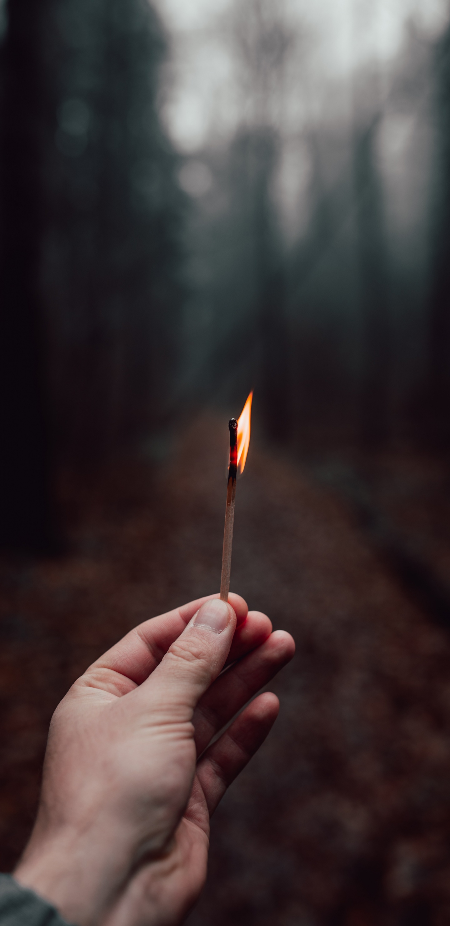 Обои темнота, огонь, палец, свет, крупный план в разрешении 1440x2960