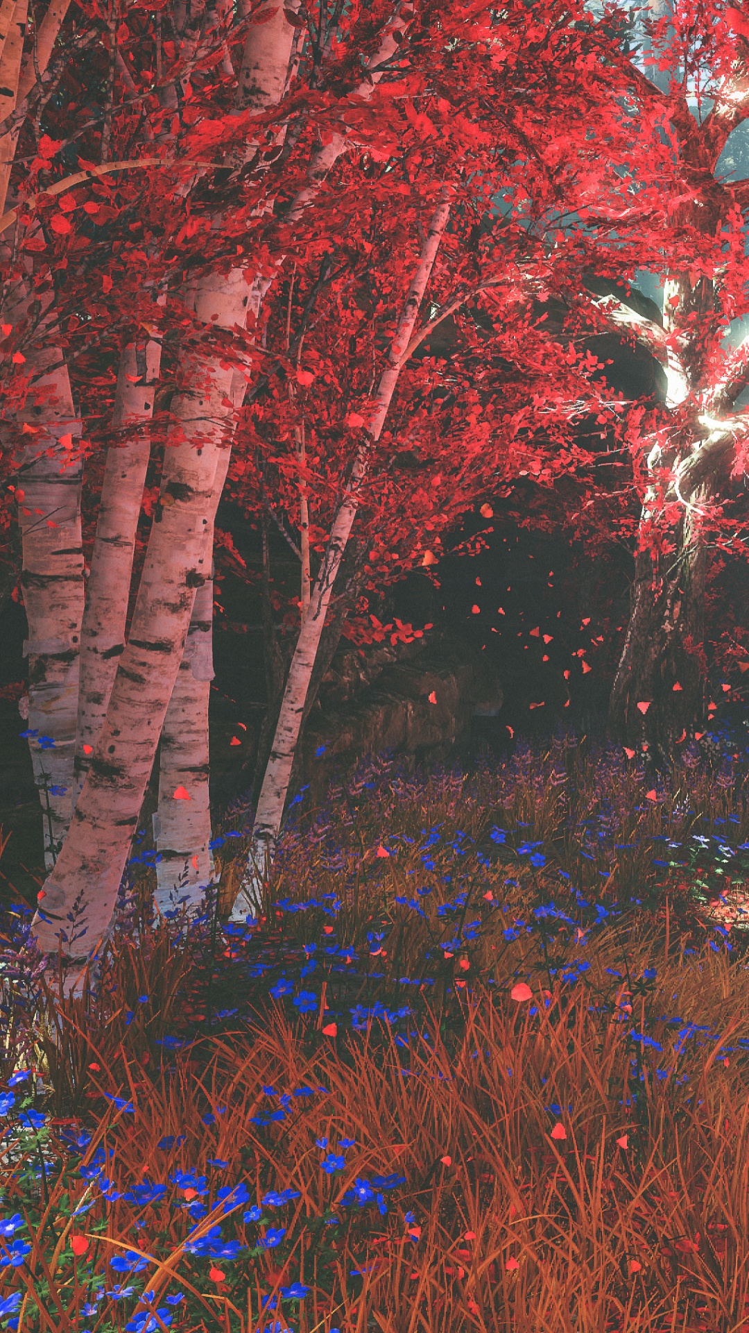 Обои природа, дерево, природный ландшафт, лес, окружающая среда в разрешении 1080x1920