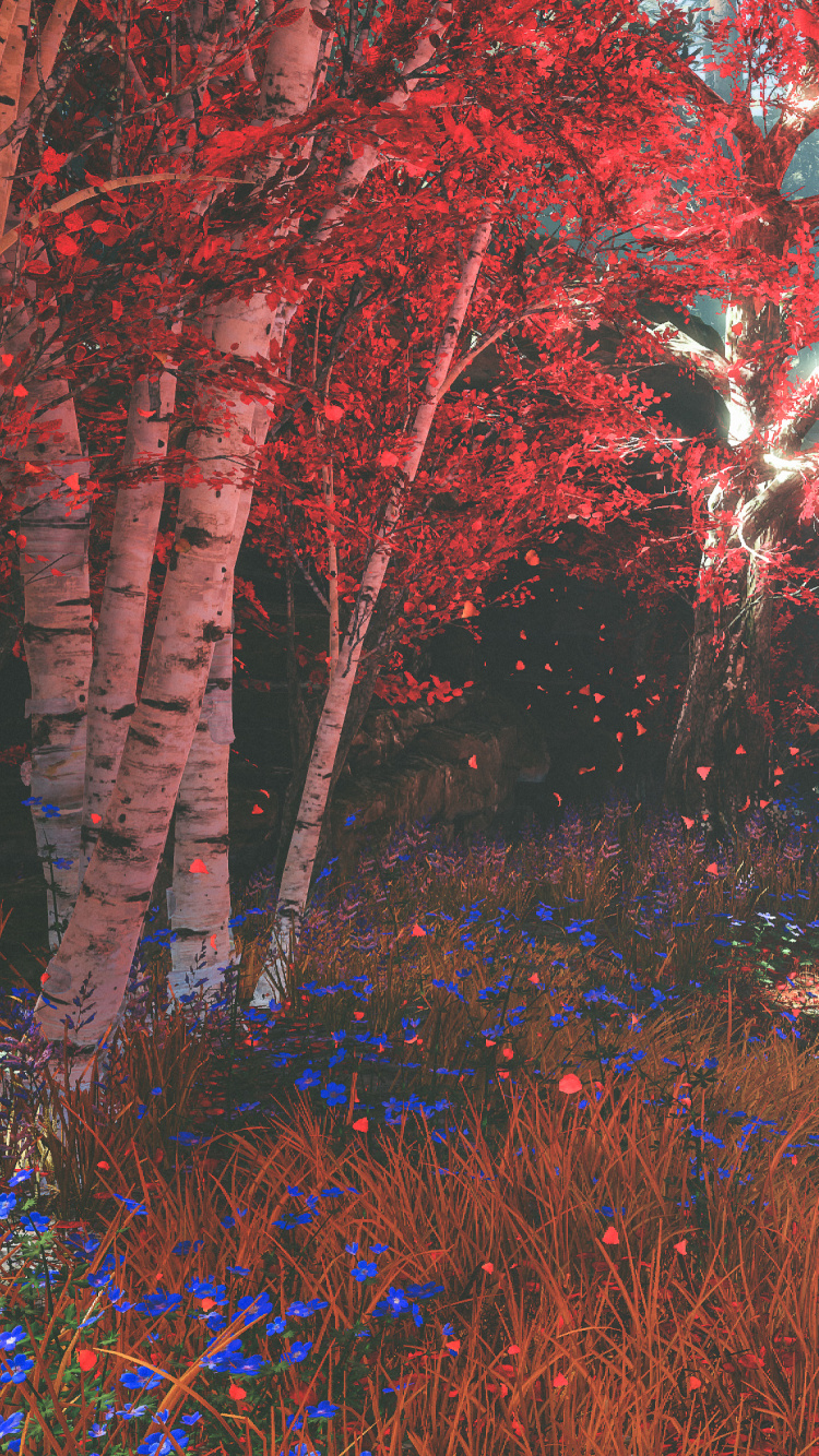 Обои природа, дерево, природный ландшафт, лес, окружающая среда в разрешении 750x1334