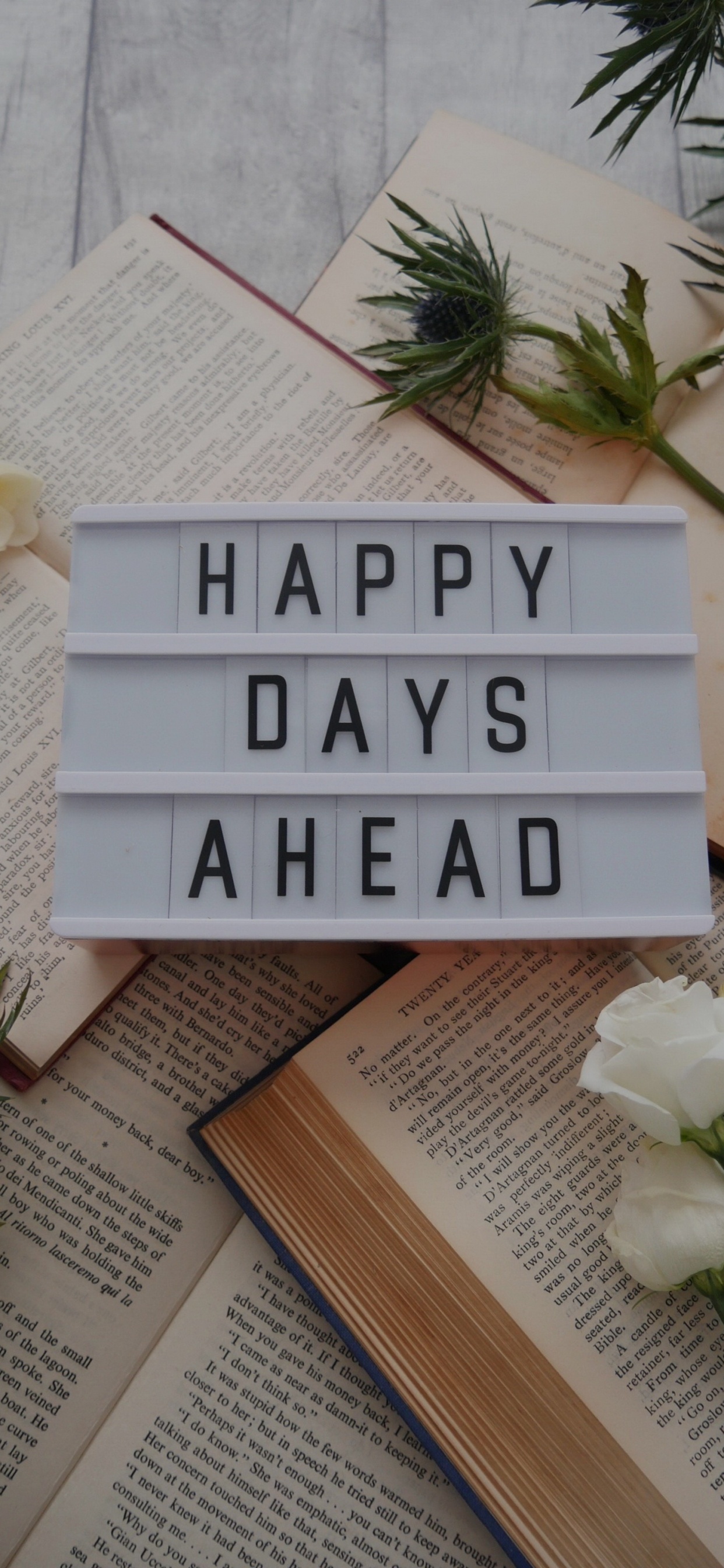 Обои древесина, андроид, планшет, книга, растение в разрешении 1242x2688