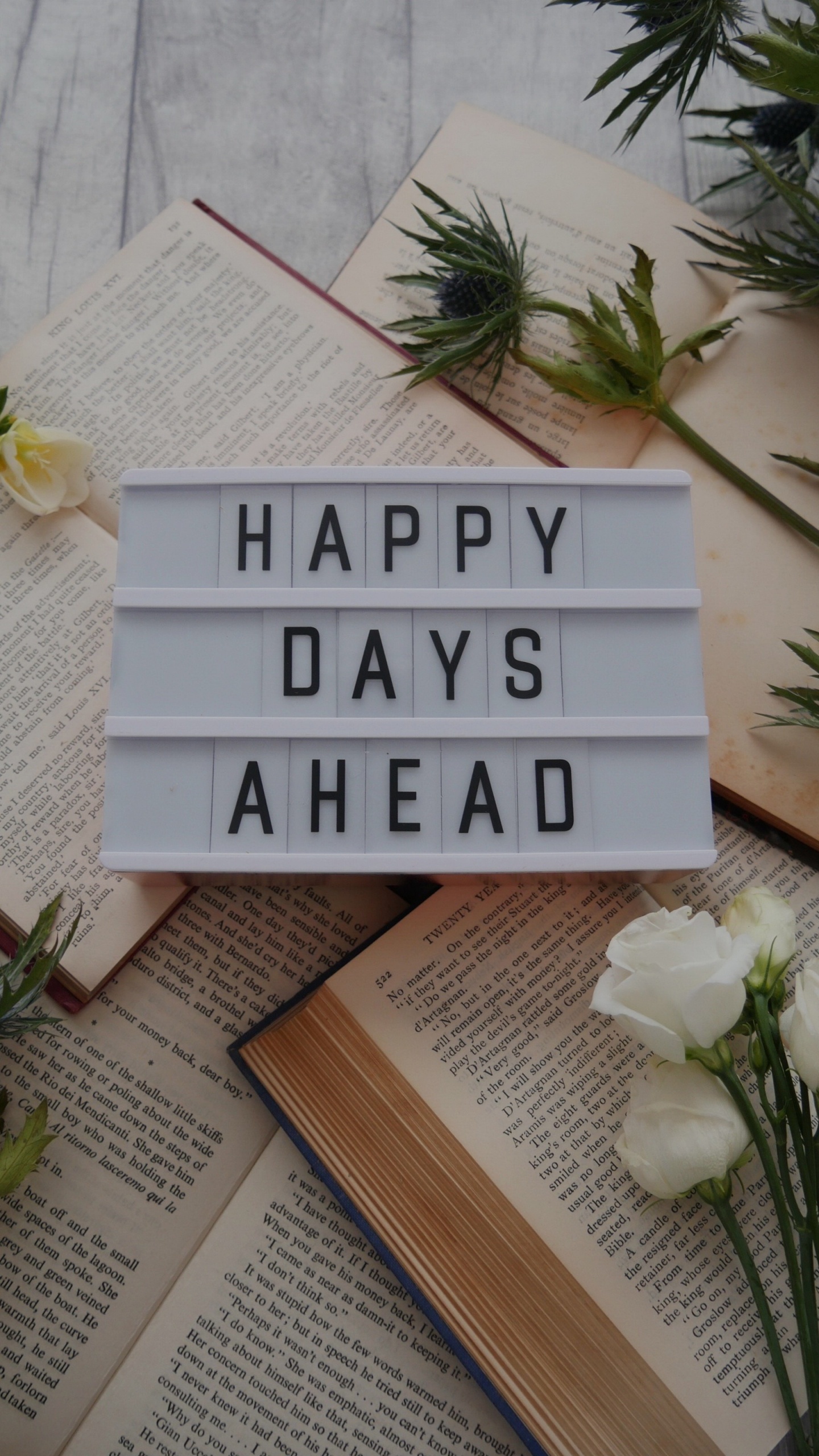 Обои древесина, андроид, планшет, книга, растение в разрешении 1440x2560