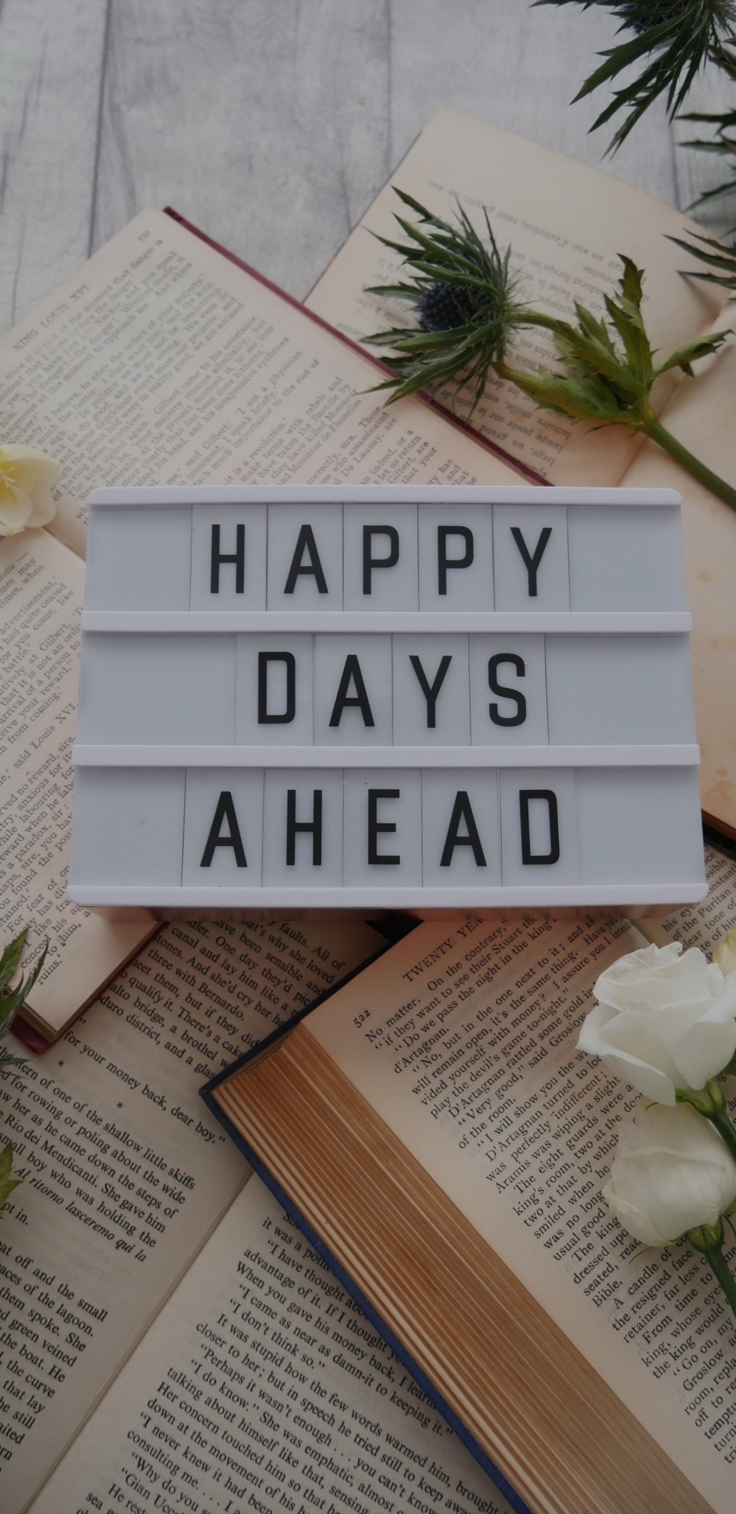 Обои древесина, андроид, планшет, книга, растение в разрешении 1440x2960