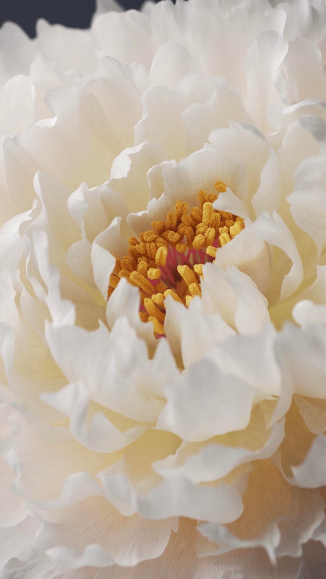 Обои Жив, виво х60 про, виво х70 про, смартфон, телефон в разрешении 1080x1920