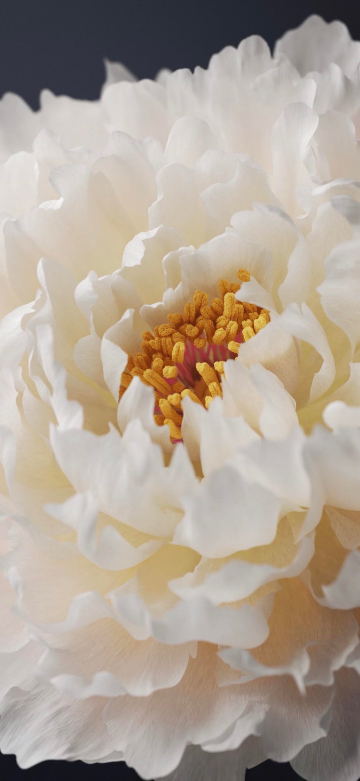 Обои Жив, виво х60 про, виво х70 про, смартфон, телефон в разрешении 1242x2688