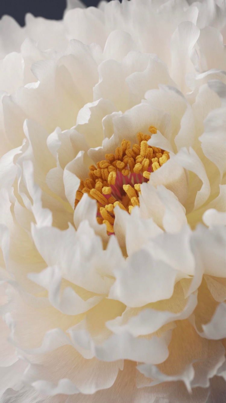 Обои Жив, виво х60 про, виво х70 про, смартфон, телефон в разрешении 750x1334