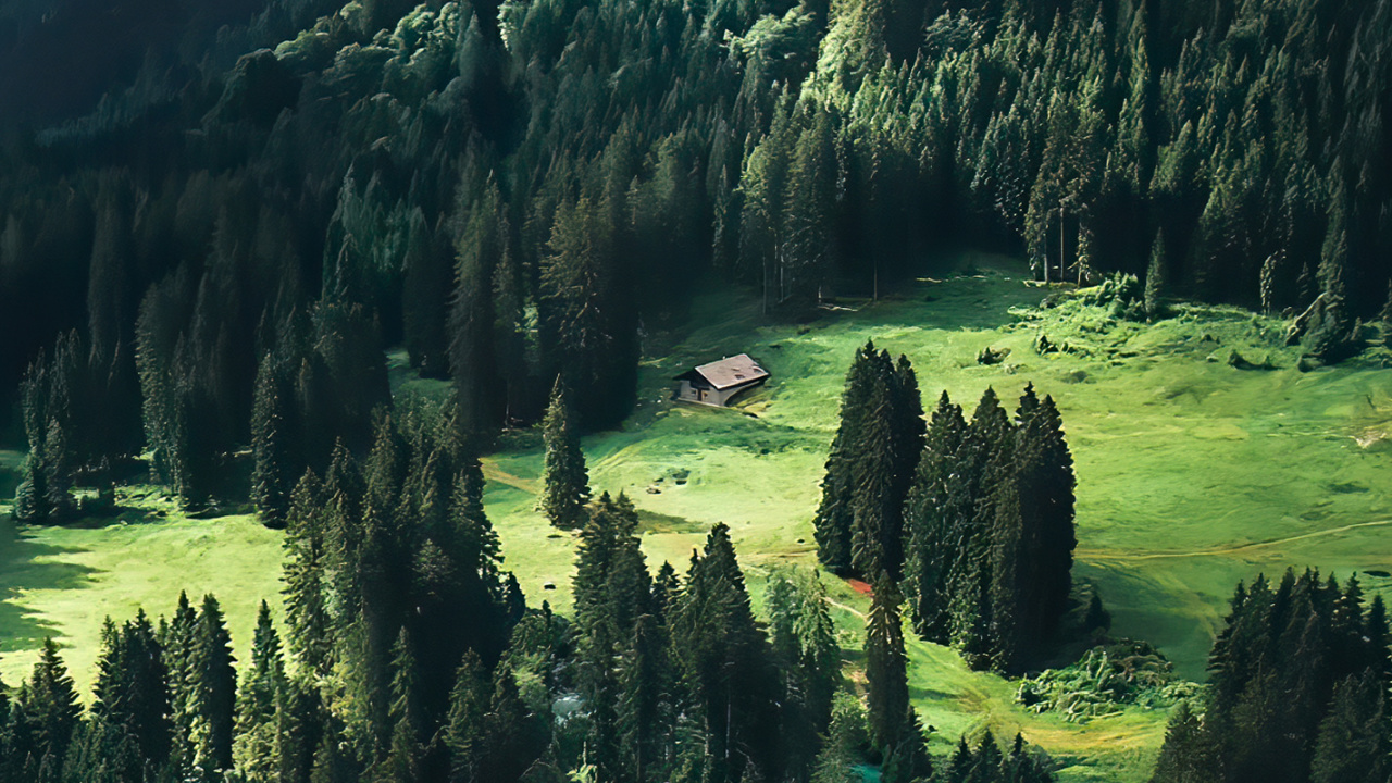 Обои пейзажи гор, ель, лиственница, пихта, старовозрастные леса в разрешении 1280x720