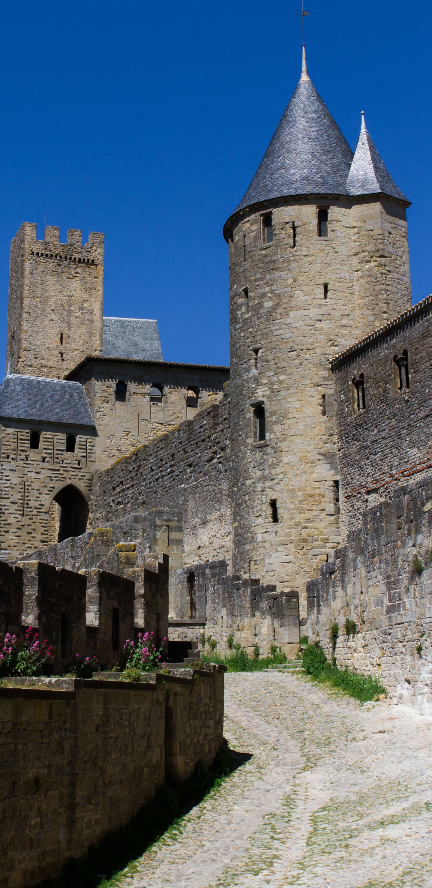 Обои фортификация, замок, средневековая архитектура, стена, здание в разрешении 1440x2960