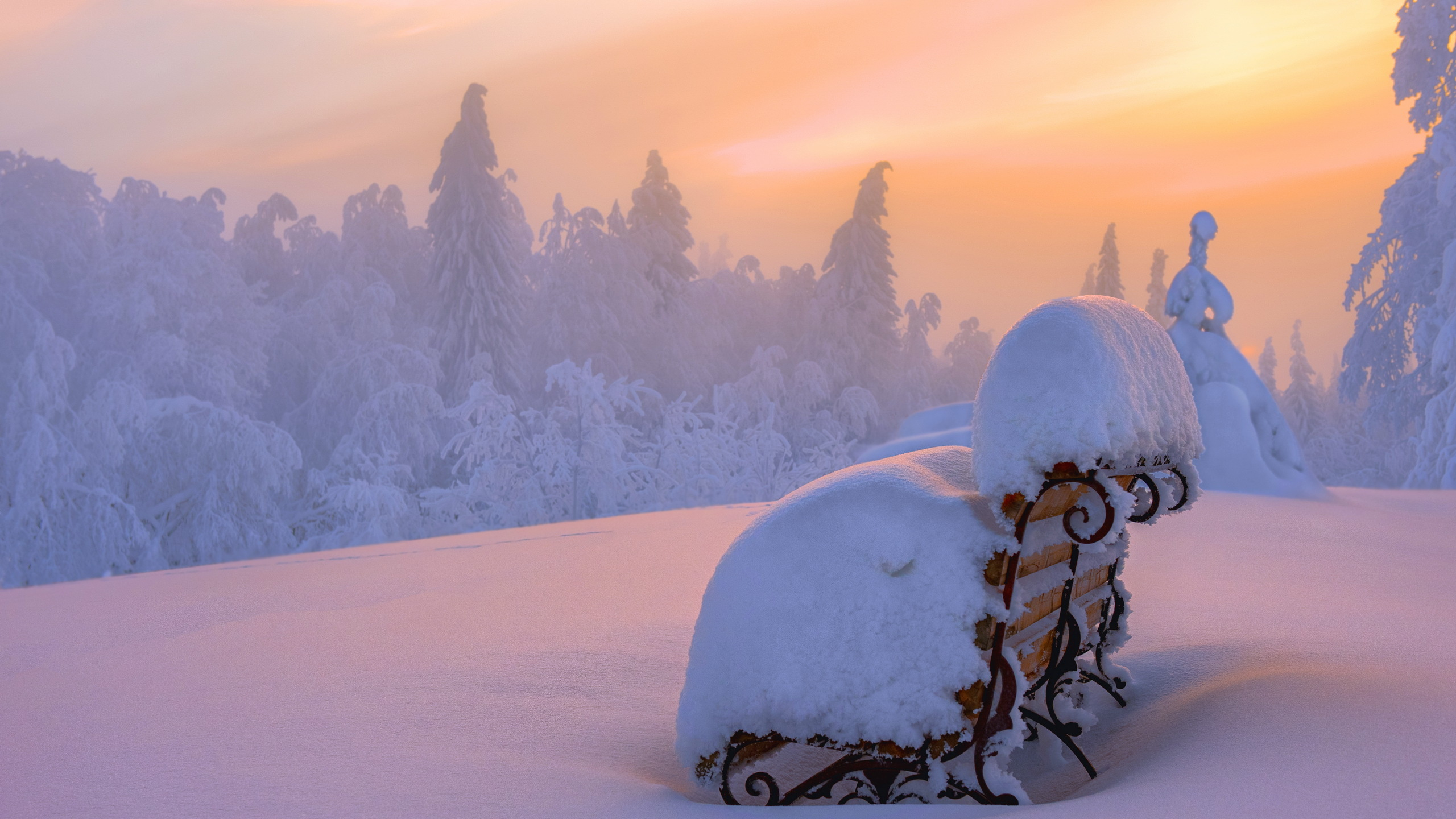 Обои снег, зима, замораживание, облако, мороз в разрешении 2560x1440