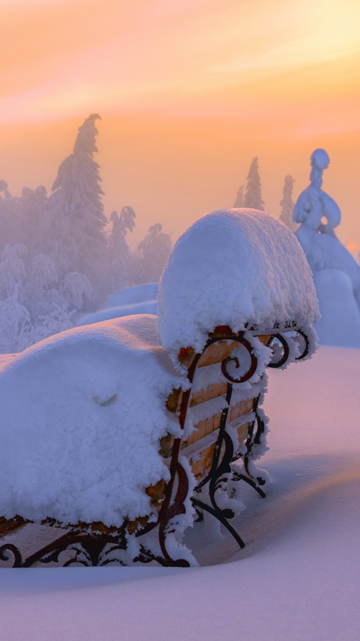 Обои снег, зима, замораживание, облако, мороз в разрешении 720x1280