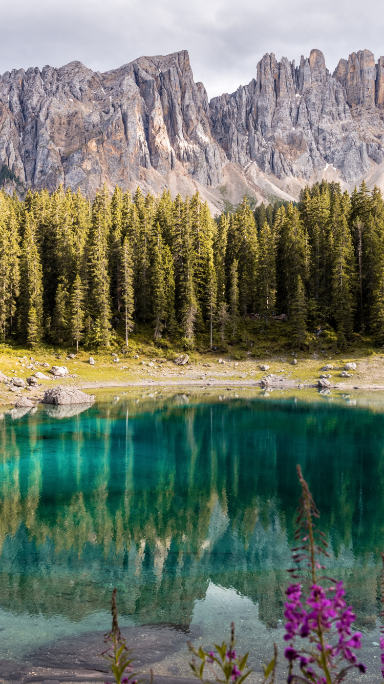 Обои природный ландшафт, природа, гора, горный рельеф, дикая местность в разрешении 750x1334