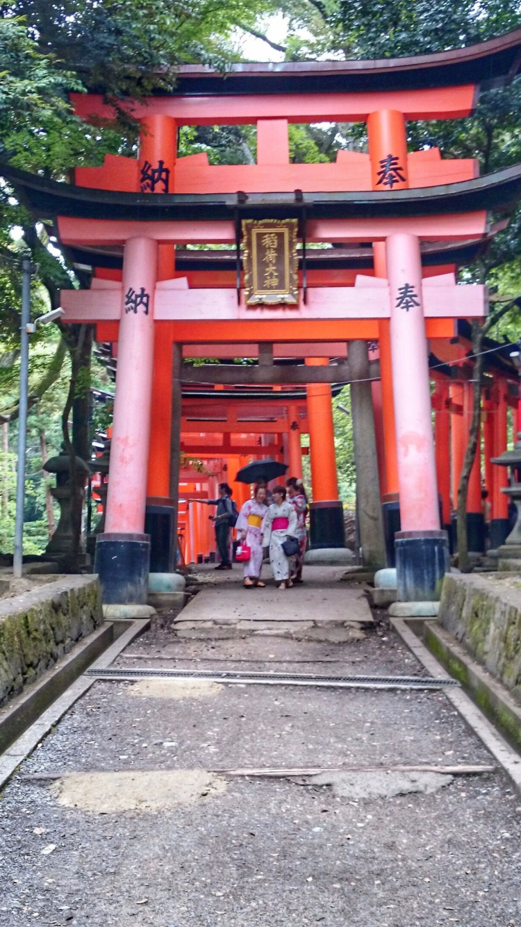 Обои китайская архитектура, синтоистский храм, храм, святыня, тории в разрешении 750x1334