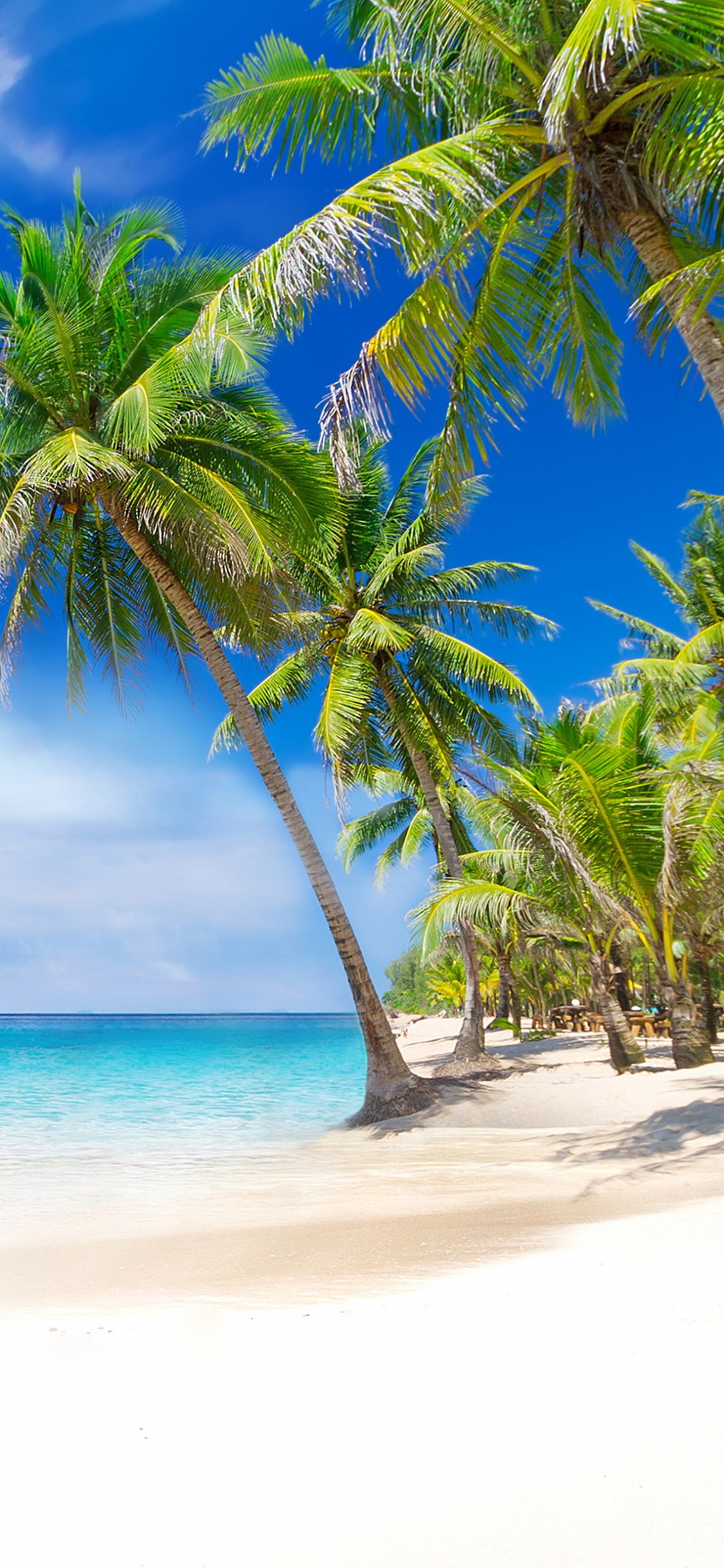 Обои пляж, тропическая зона, море, океан, Карибский бассейн в разрешении 1125x2436