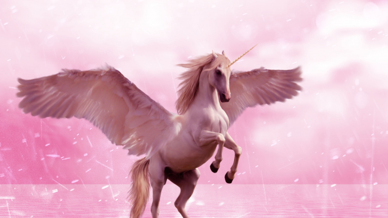 Обои единорог, Пегас, конь, крыло, розовый в разрешении 1280x720