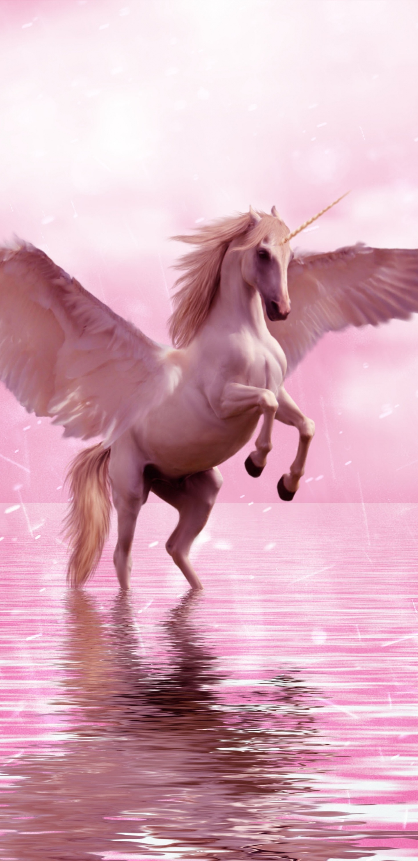 Обои единорог, Пегас, конь, крыло, розовый в разрешении 1440x2960