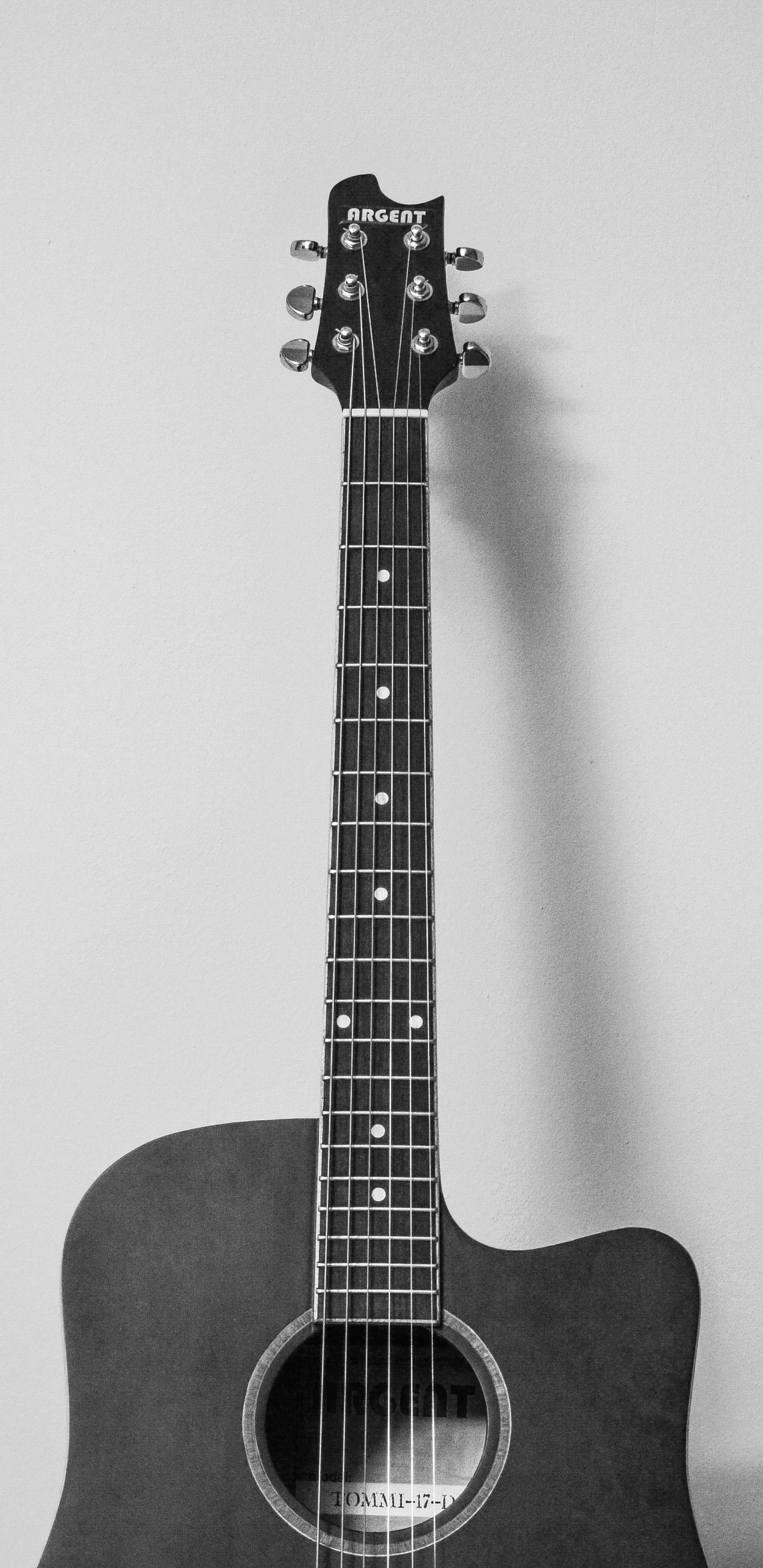 Обои черный и белый гитара, гитара, электрогитара, акустическая гитара, струнный инструмент в разрешении 1440x2960