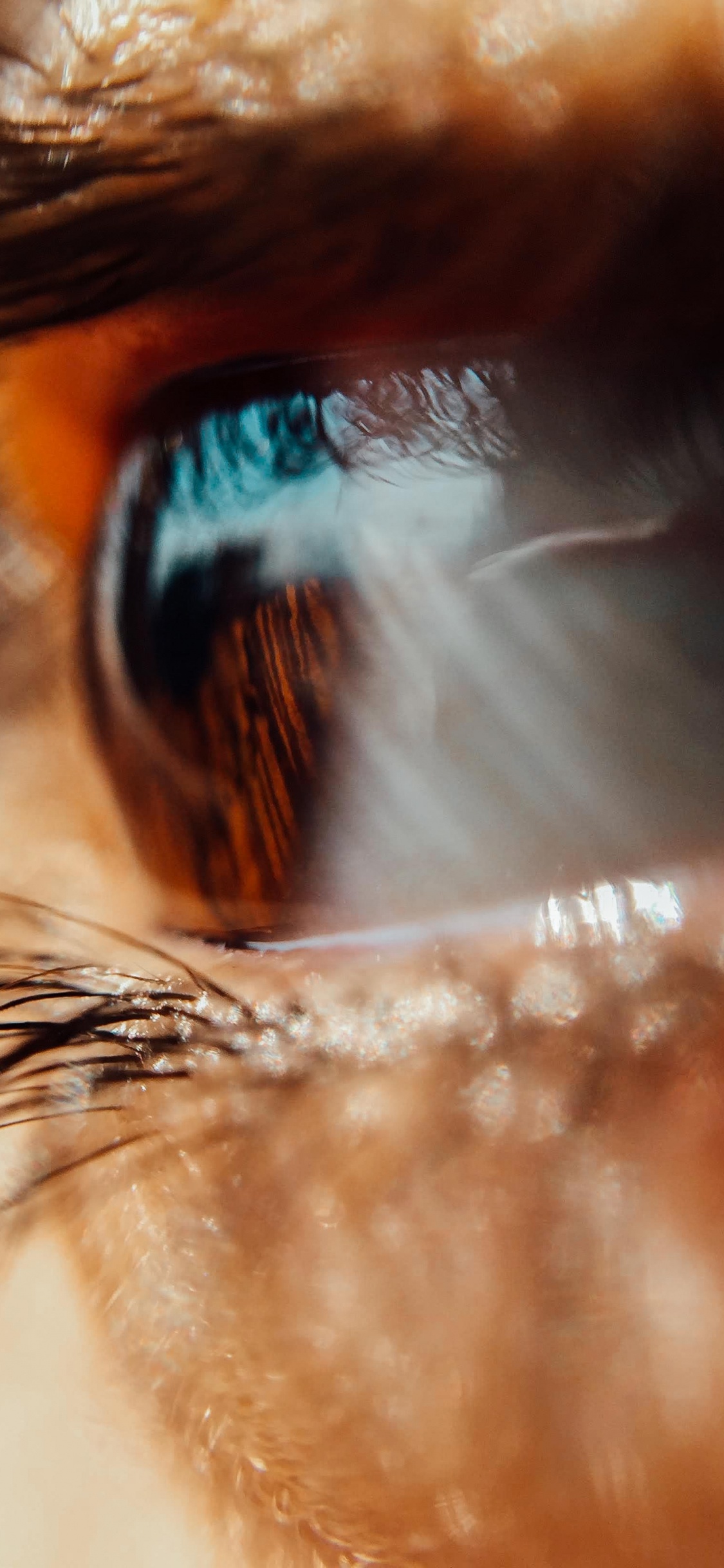 Обои ресничка, кожа, глаз, коричневый цвет, орган в разрешении 1125x2436