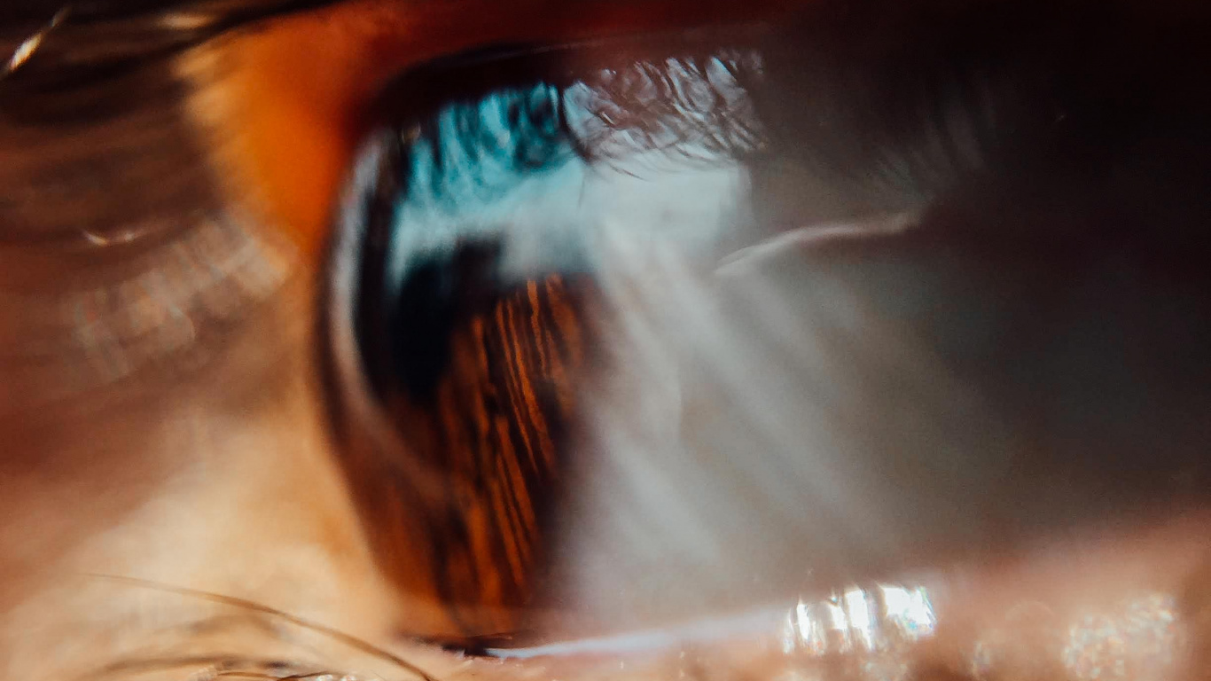 Обои ресничка, кожа, глаз, коричневый цвет, орган в разрешении 1366x768