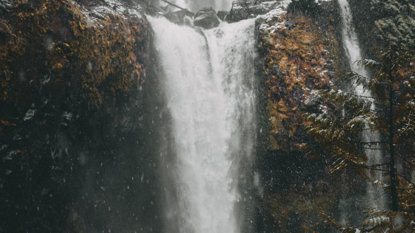 Обои вода, дерево, водоем, мусоропровод, природа в разрешении 1366x768