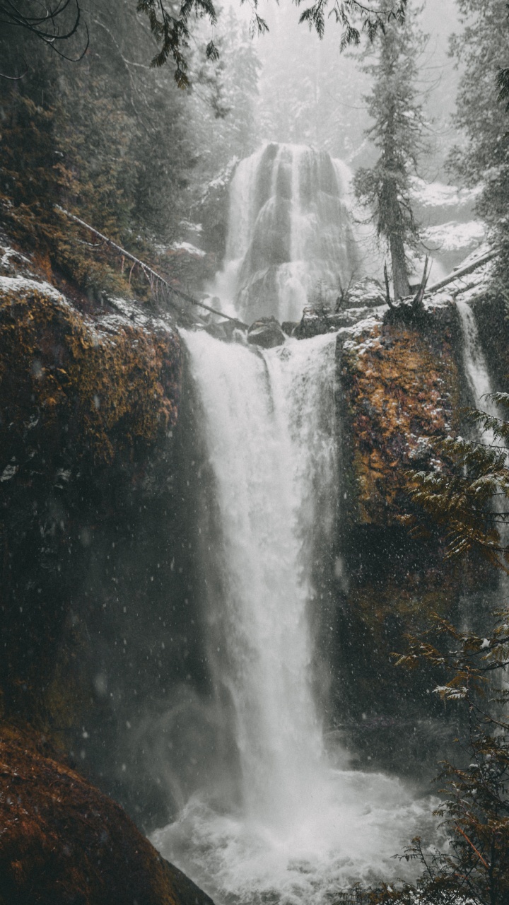 Обои вода, дерево, водоем, мусоропровод, природа в разрешении 720x1280