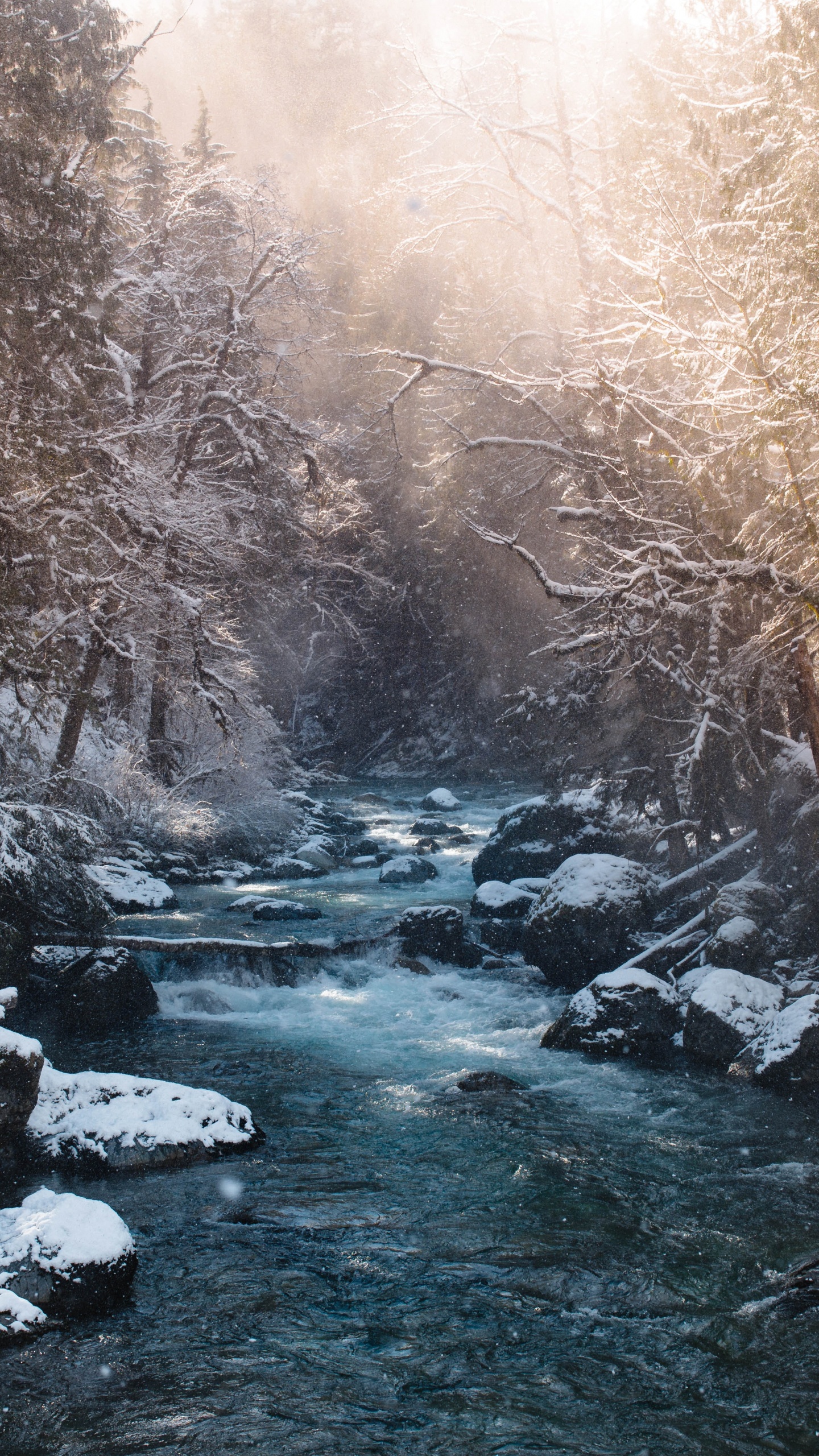 Обои река зимой, снег, зима, реки, Река Фрейзер в разрешении 1440x2560